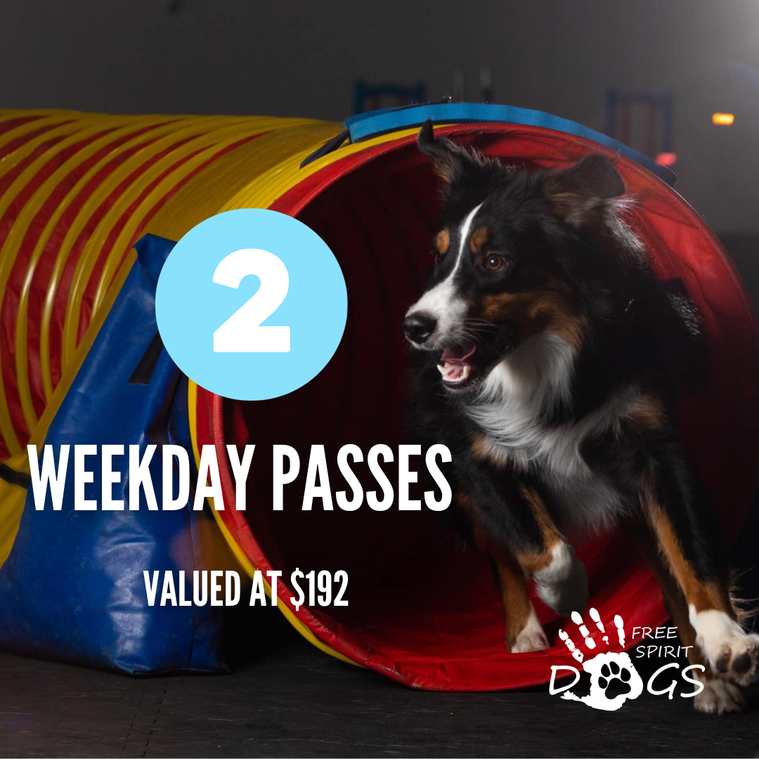 Store 1 — freespiritdogs