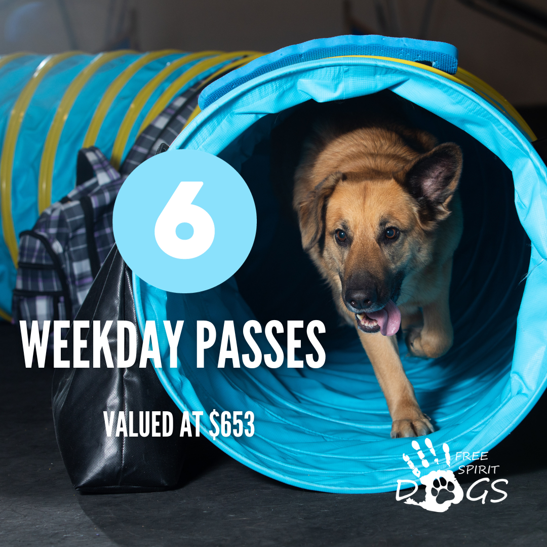 Store 1 — freespiritdogs