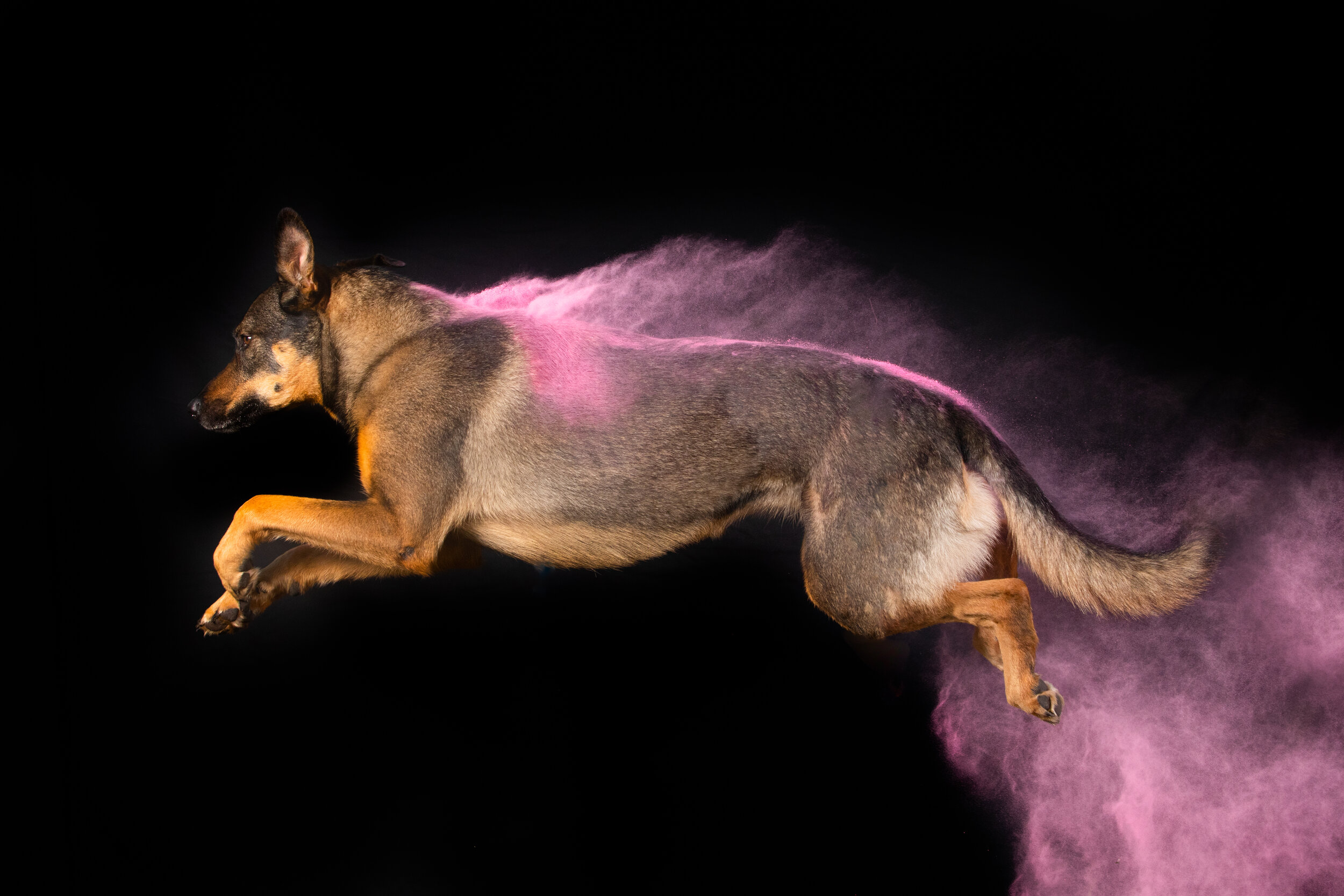 Belle chalk.jpg