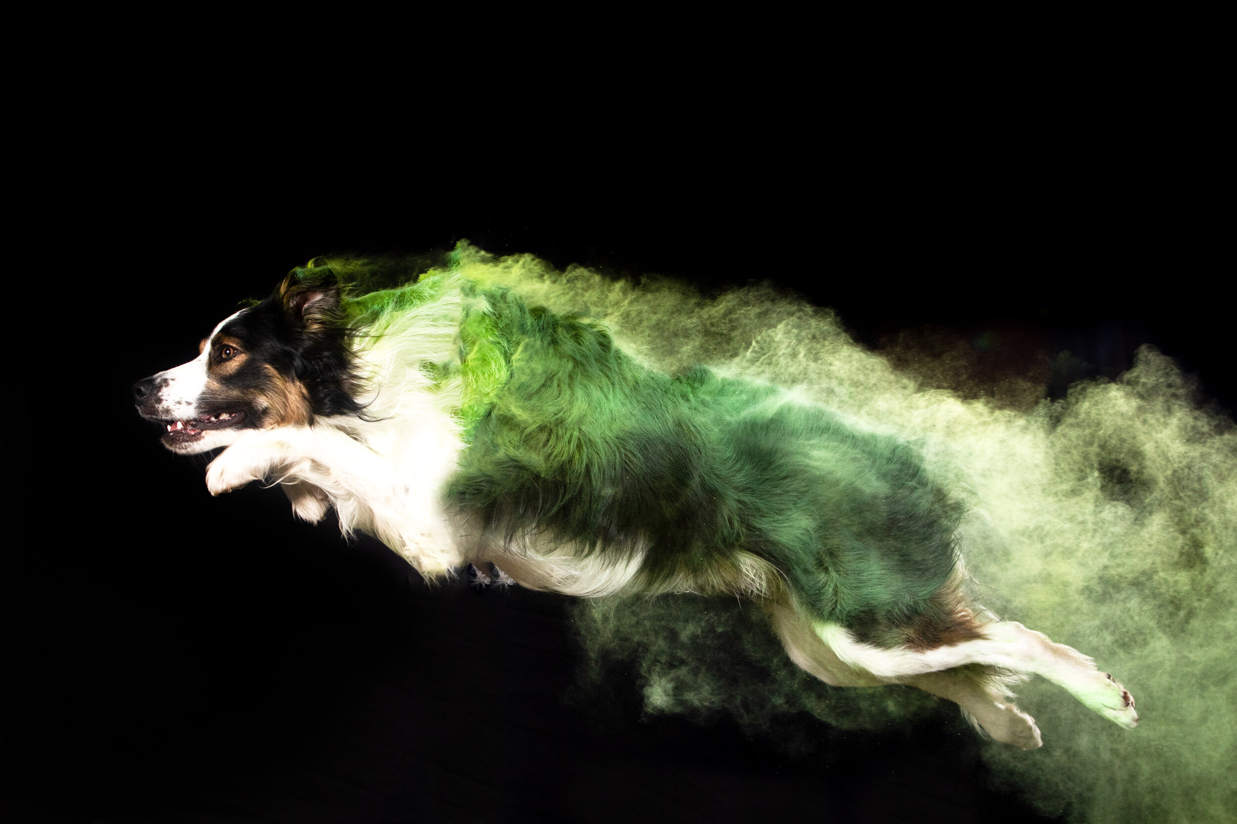 Loki chalk.jpg