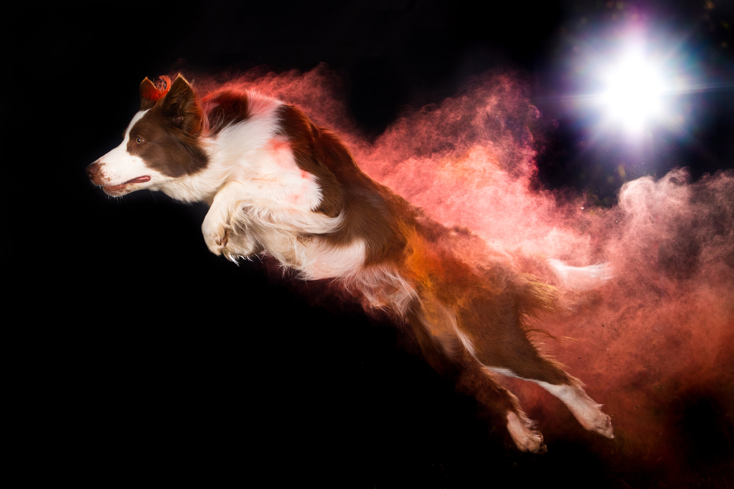 Blaze chalk.jpg