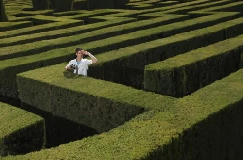 5 Strategies To Get Unstuck In Your Job Search
