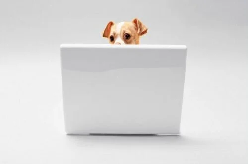 How to Email Someone You Haven’t Talked to in Forever