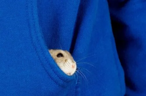 Why the Best Internal Candidate Might Be from an Unlikely Part of the Company