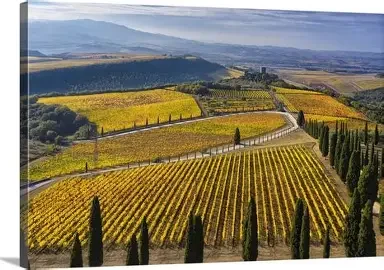 A First-Time Guide To Brunello di Montalcino