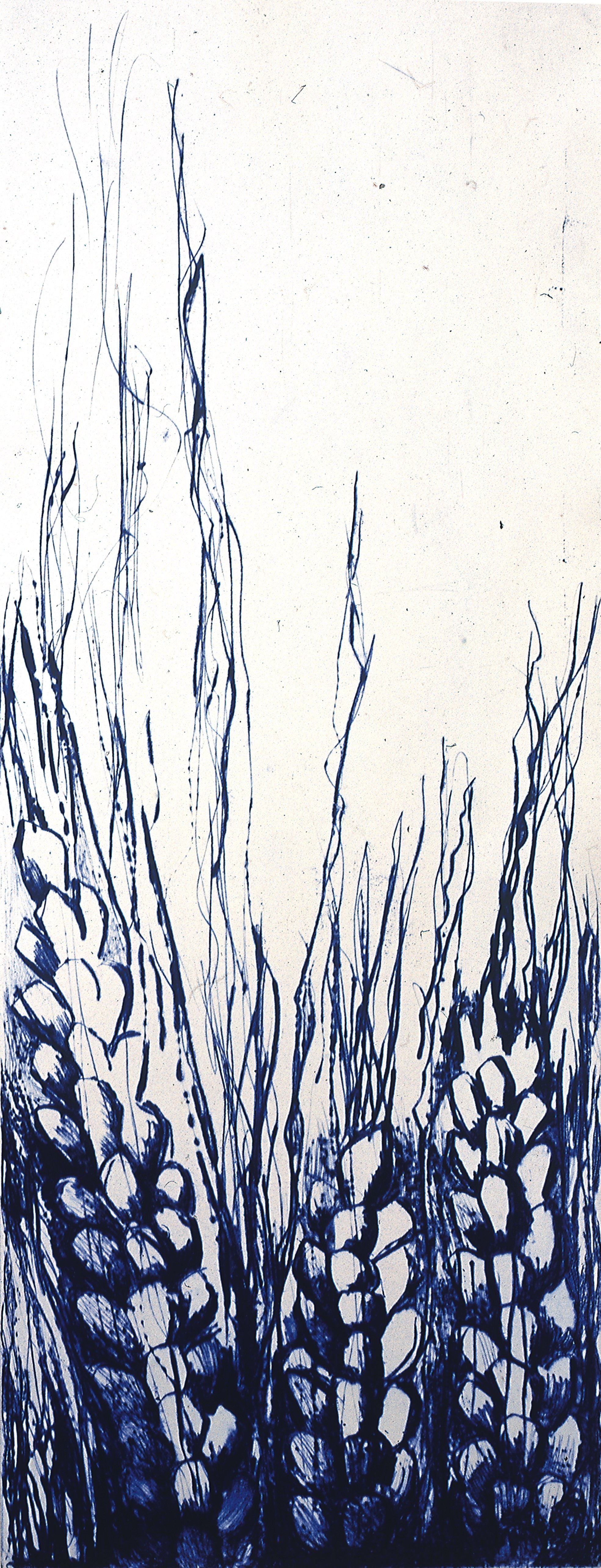 stahia dry point2 (1).jpeg