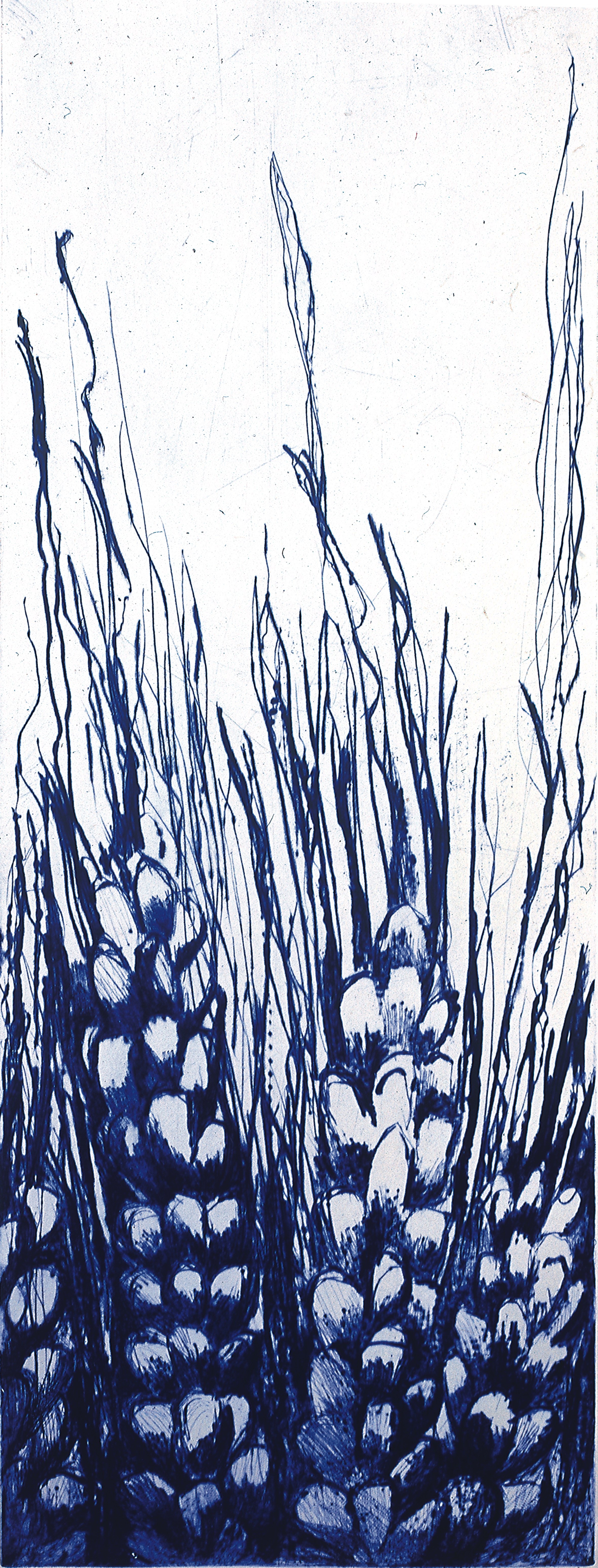 stahia dry point1.jpeg