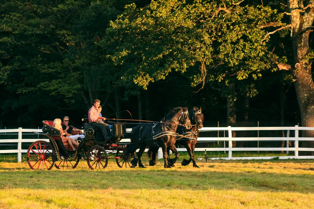 CLUB ECVESTRU SELIMBAR (166).JPG