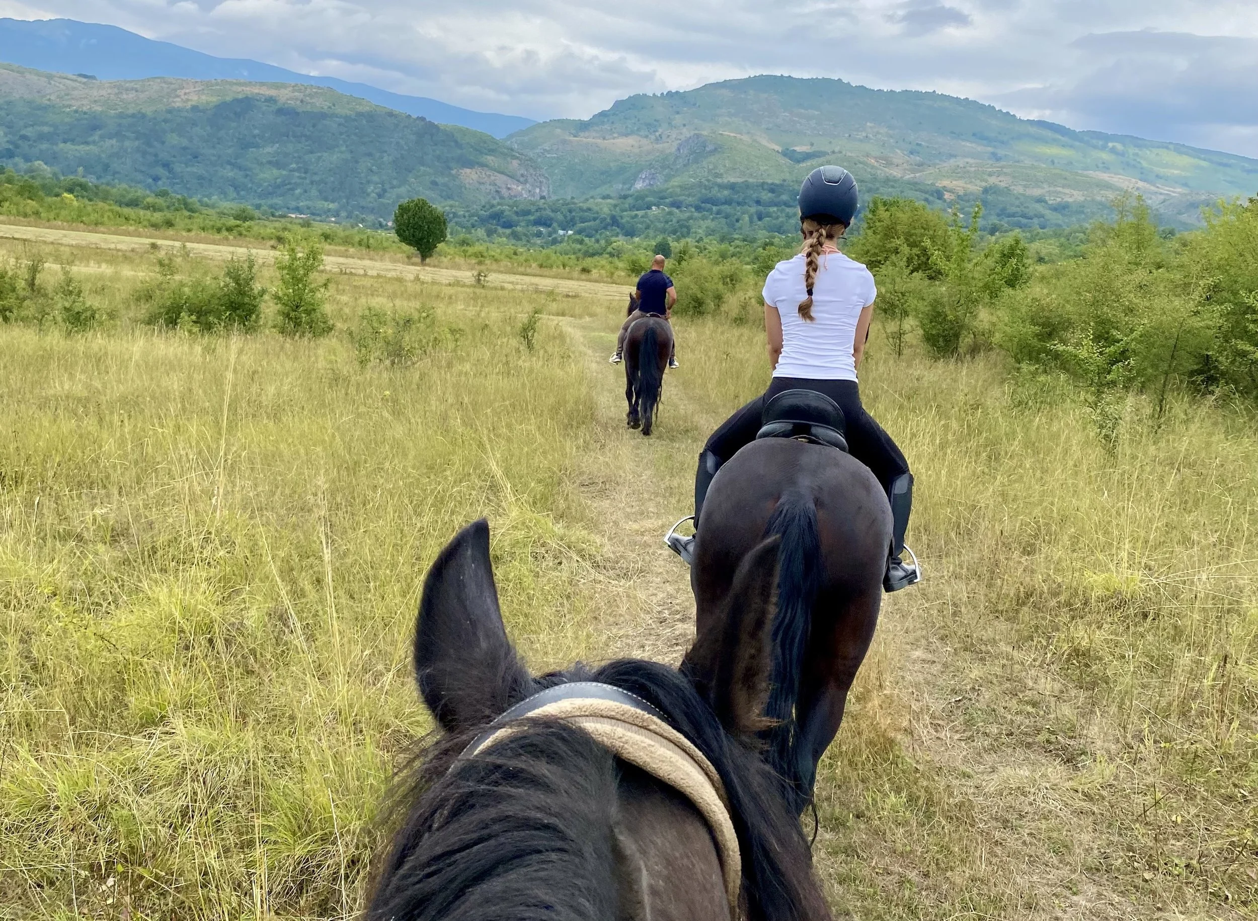 Caii din pădure