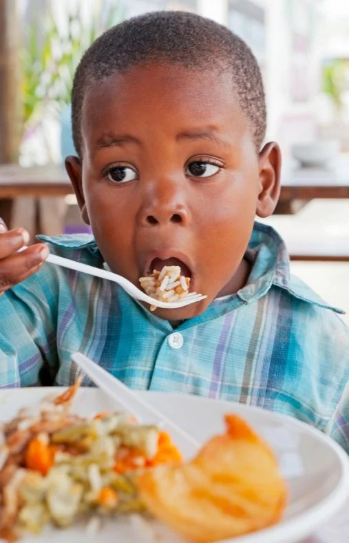 Easy Bites Child Feeding Guide How to Stick to Your Jobs at Mealtimes