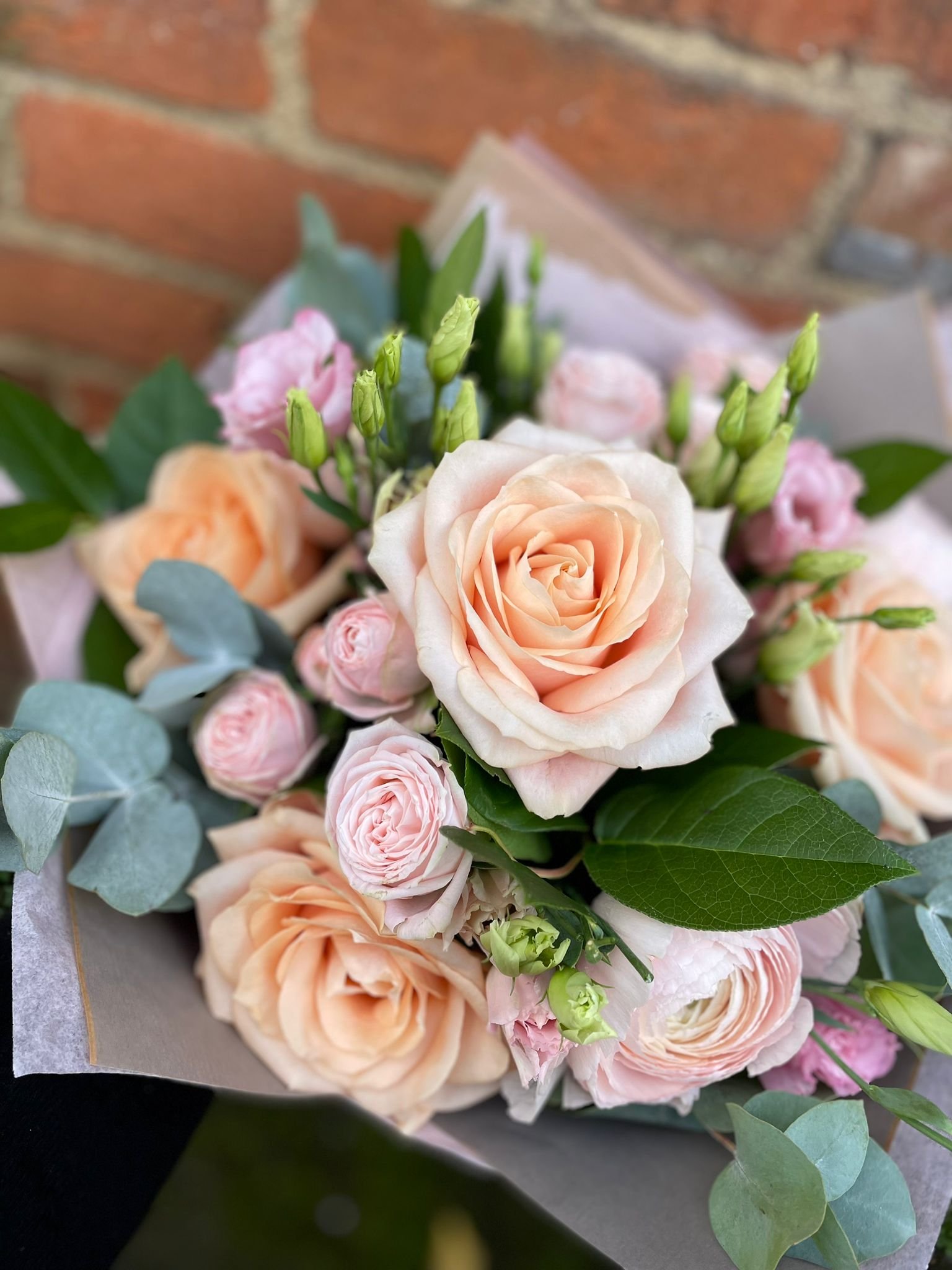 Peach and Pink Sorbet