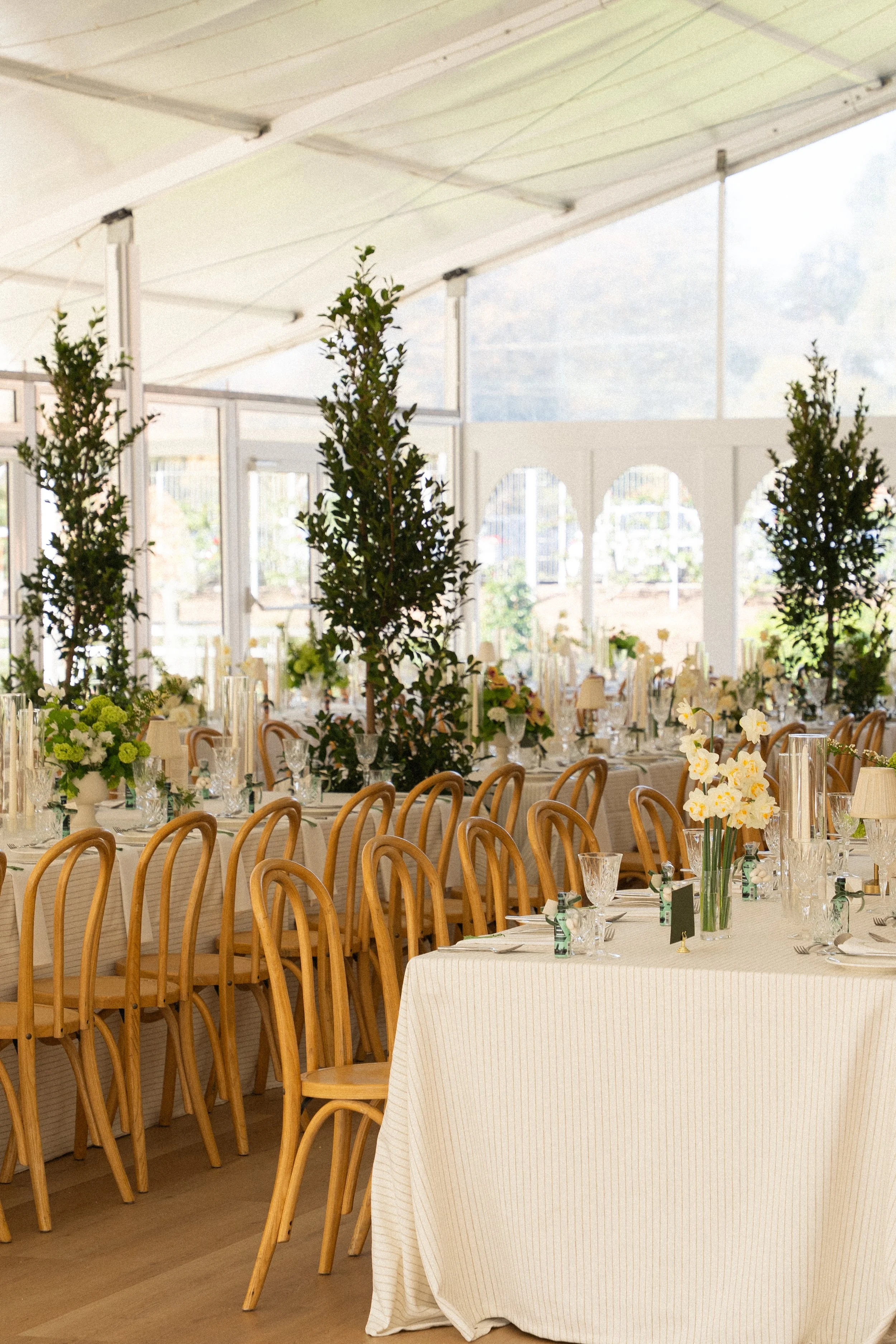 Eveline & Nicholas: Botanic Gardens