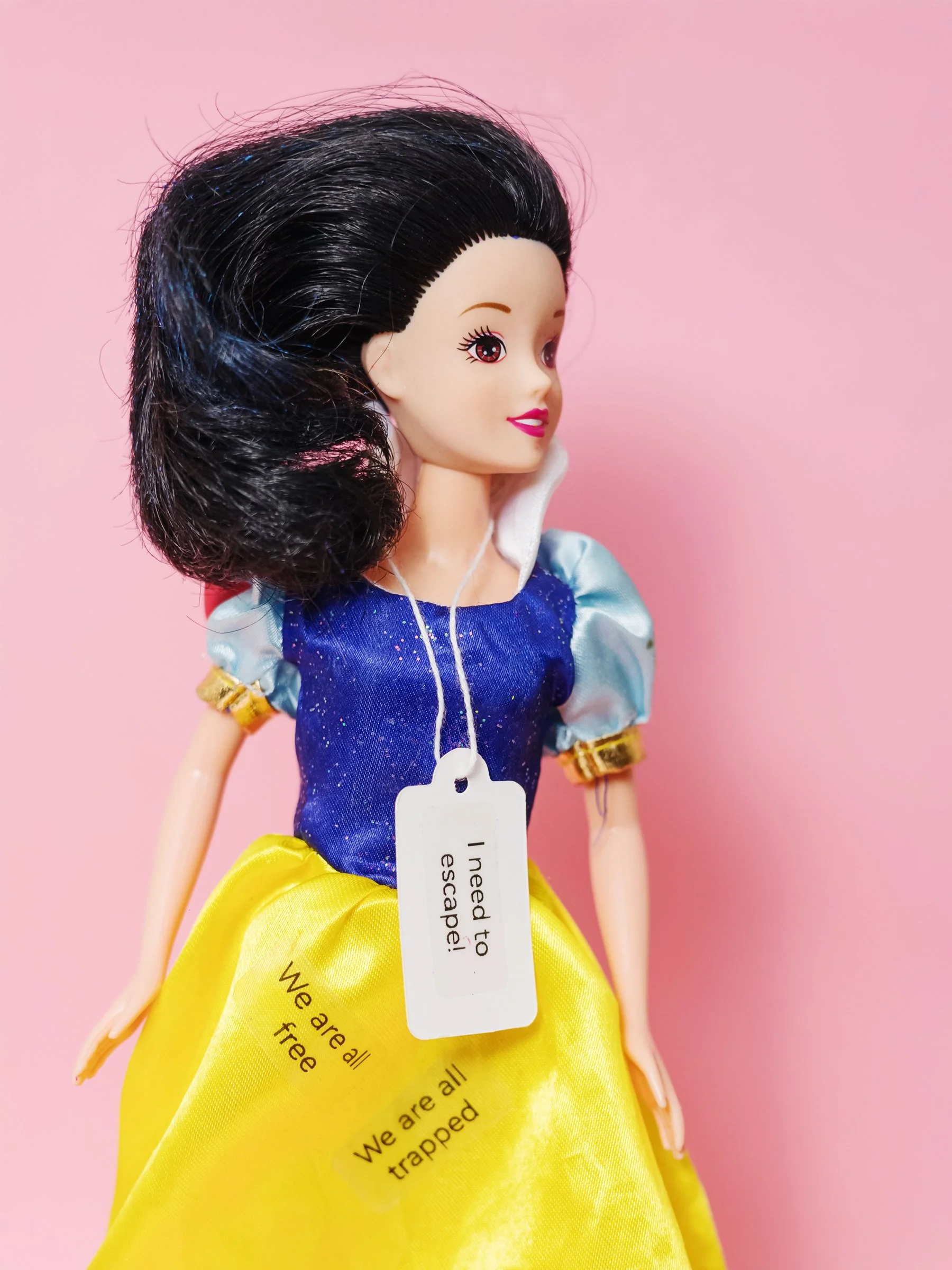 LC_20250205_2935_0096 copy.jpeg