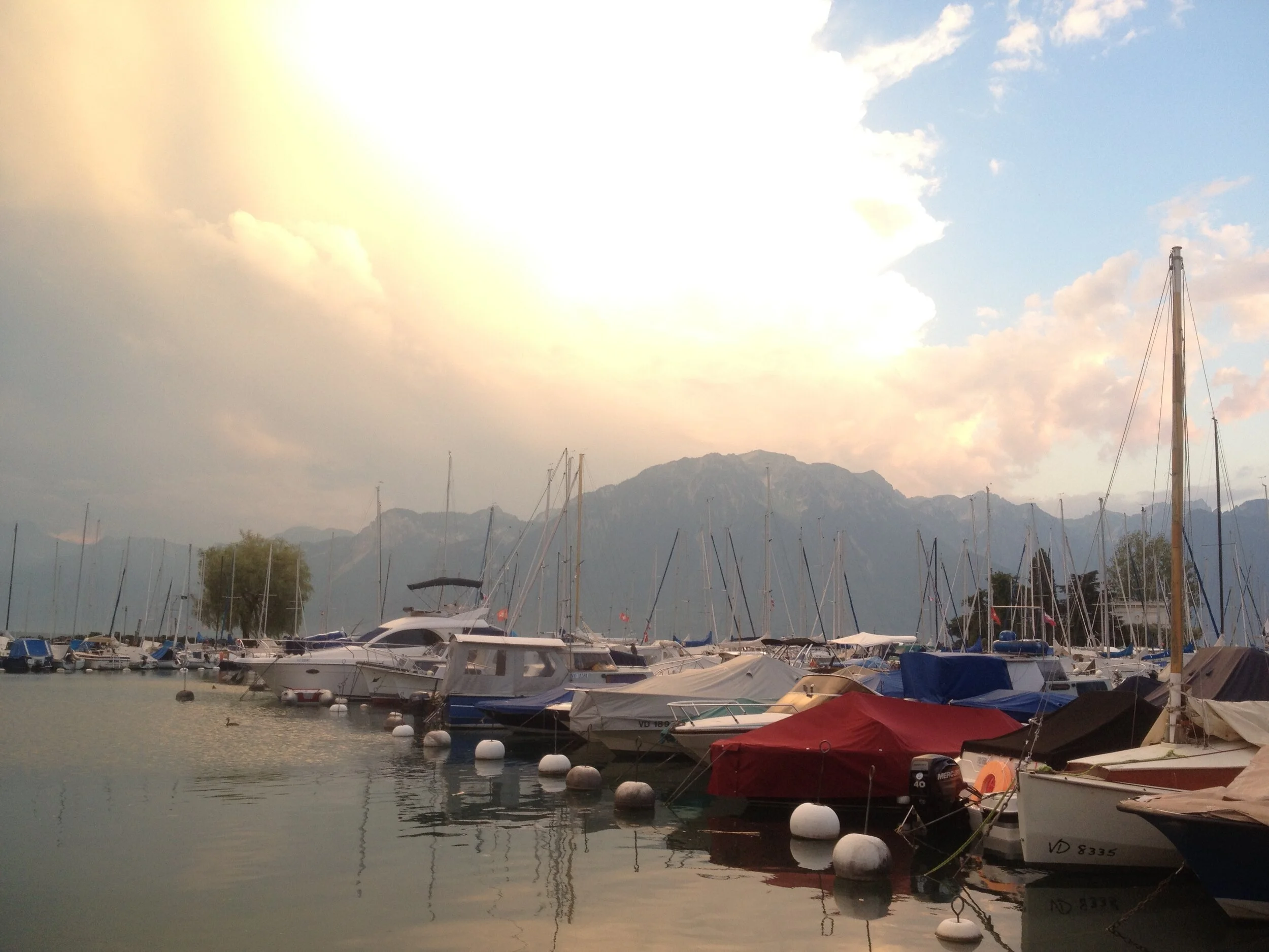 00C00EFC-8E1A-4168-B085-69848DA61D36.jpeg