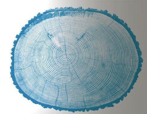 The new permanent exhibition “Materials. The Shape of Time”