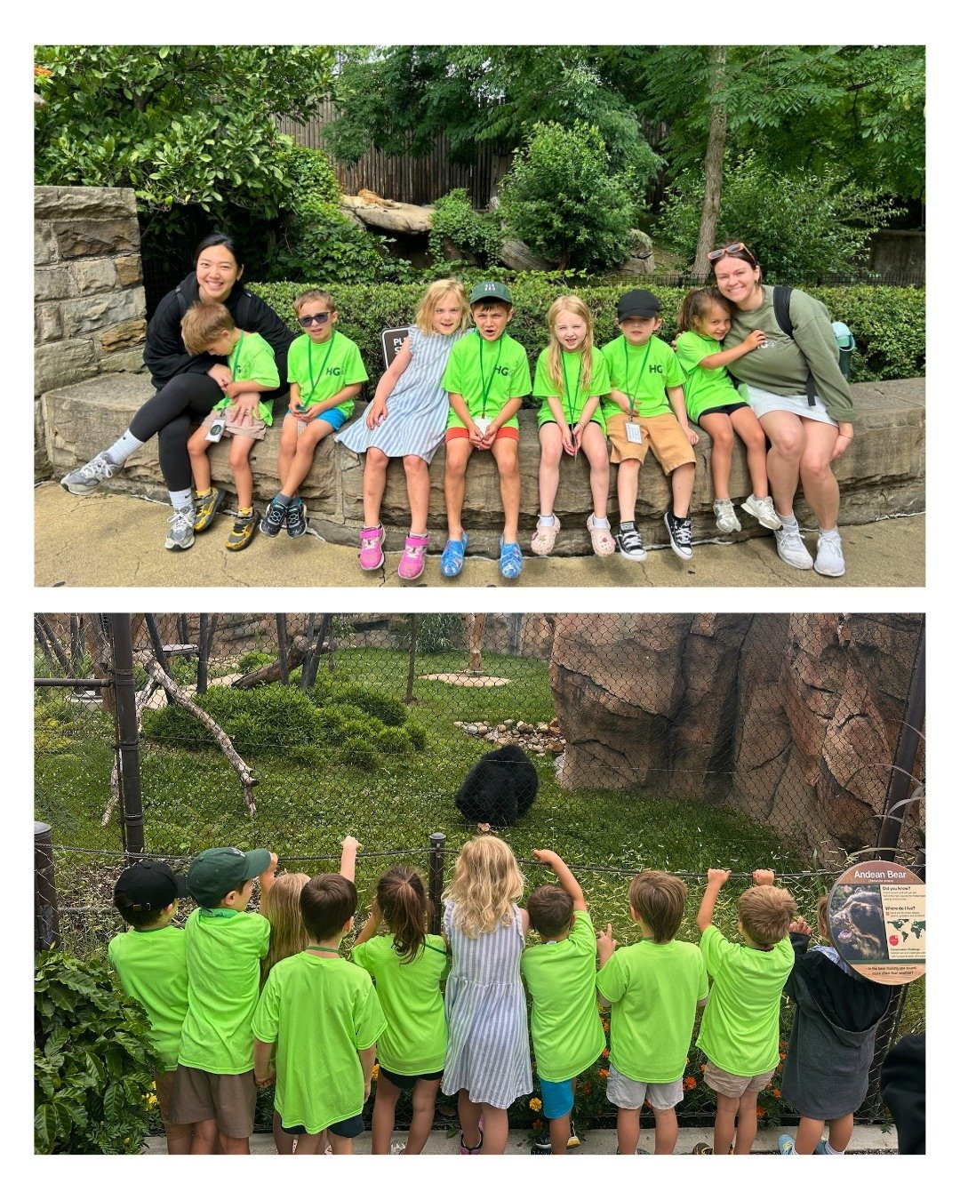 Wild about learning! 🦁🦒🐘💚 We had an amazing day exploring the Cleveland Metroparks Zoo! From observing incredible animals to asking questions and discovering new things, every stop was an adventure. This trip was one to remember! ✨