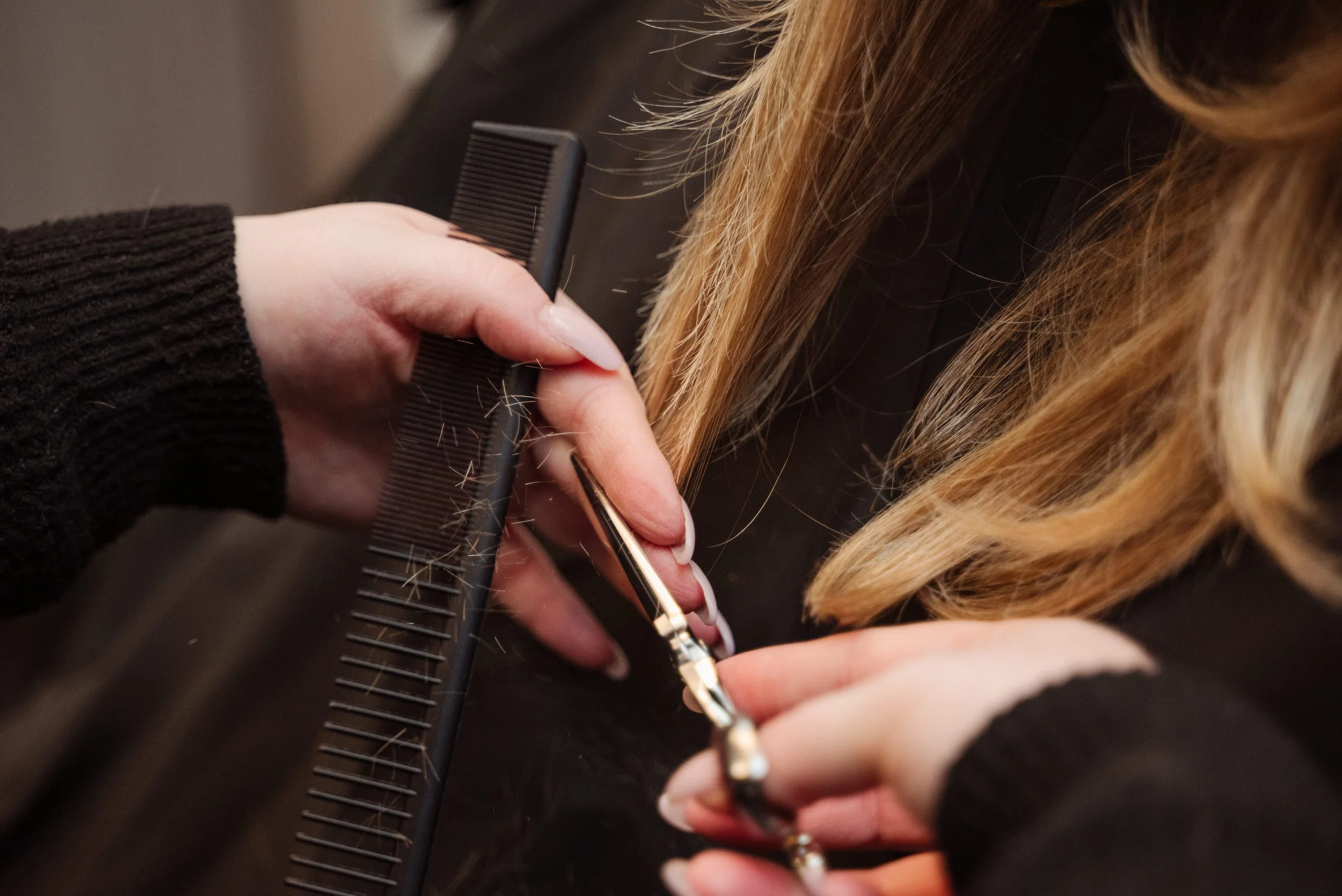 20231008hairbyhyatt1554.jpg
