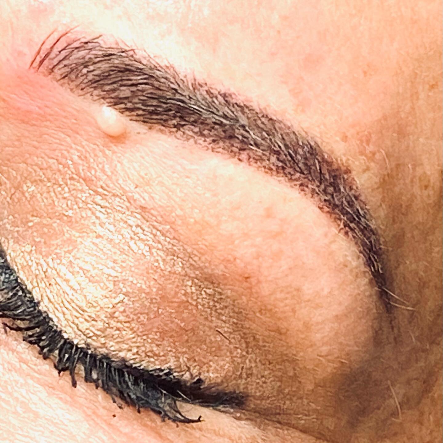 Powder brows it is a technique I performed with a tattoo machine and the front are done with manual microblading. At the first appointment Lisa opted for a smaller brow and we tried a combo brow. The microblading strokes didn&rsquo;t come out as cris