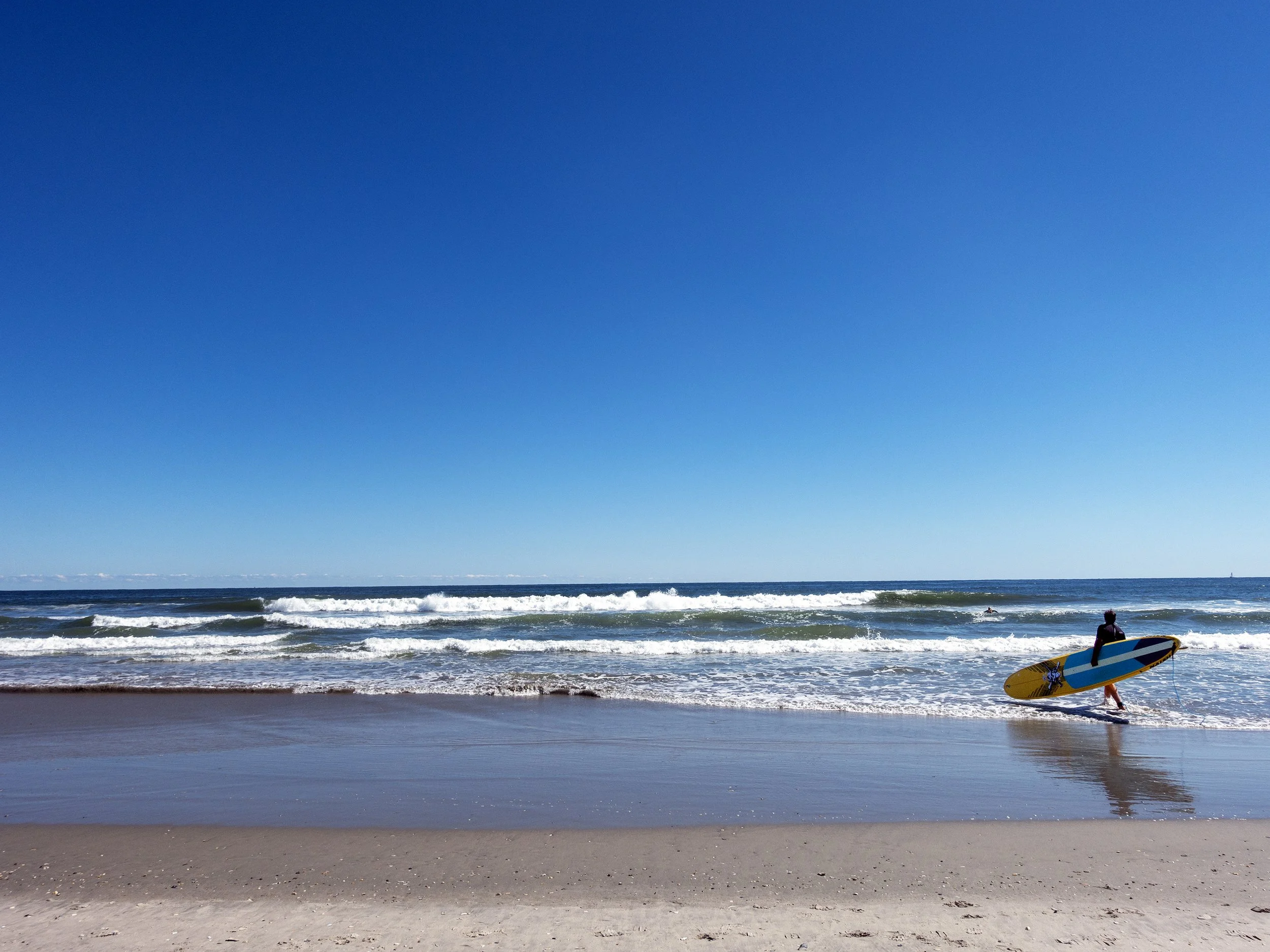 Membership Login — Visit Avalon, NJ