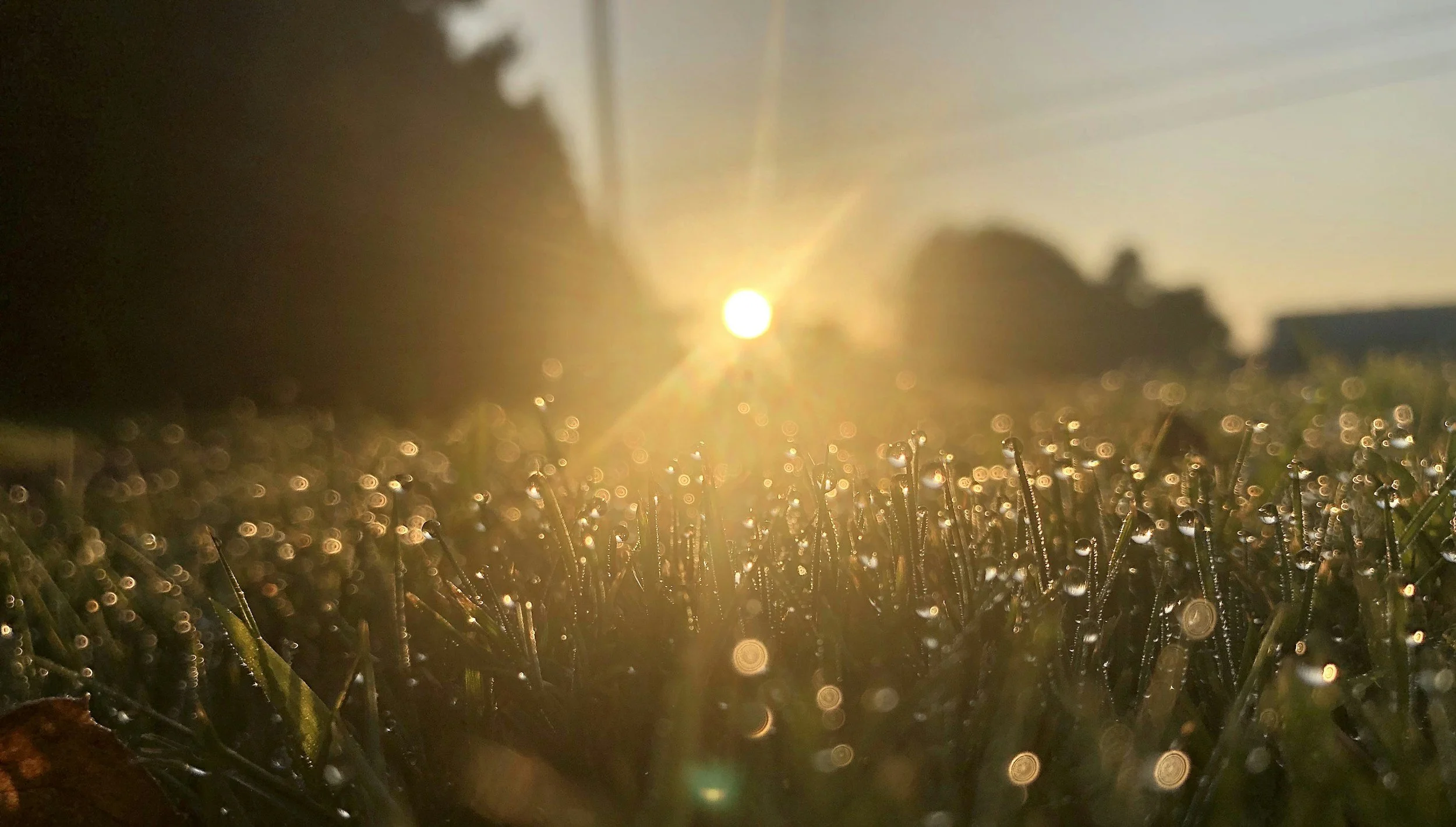 Hello Sunshine: Why Better Weather Means Better Thrifting at CommunityAid