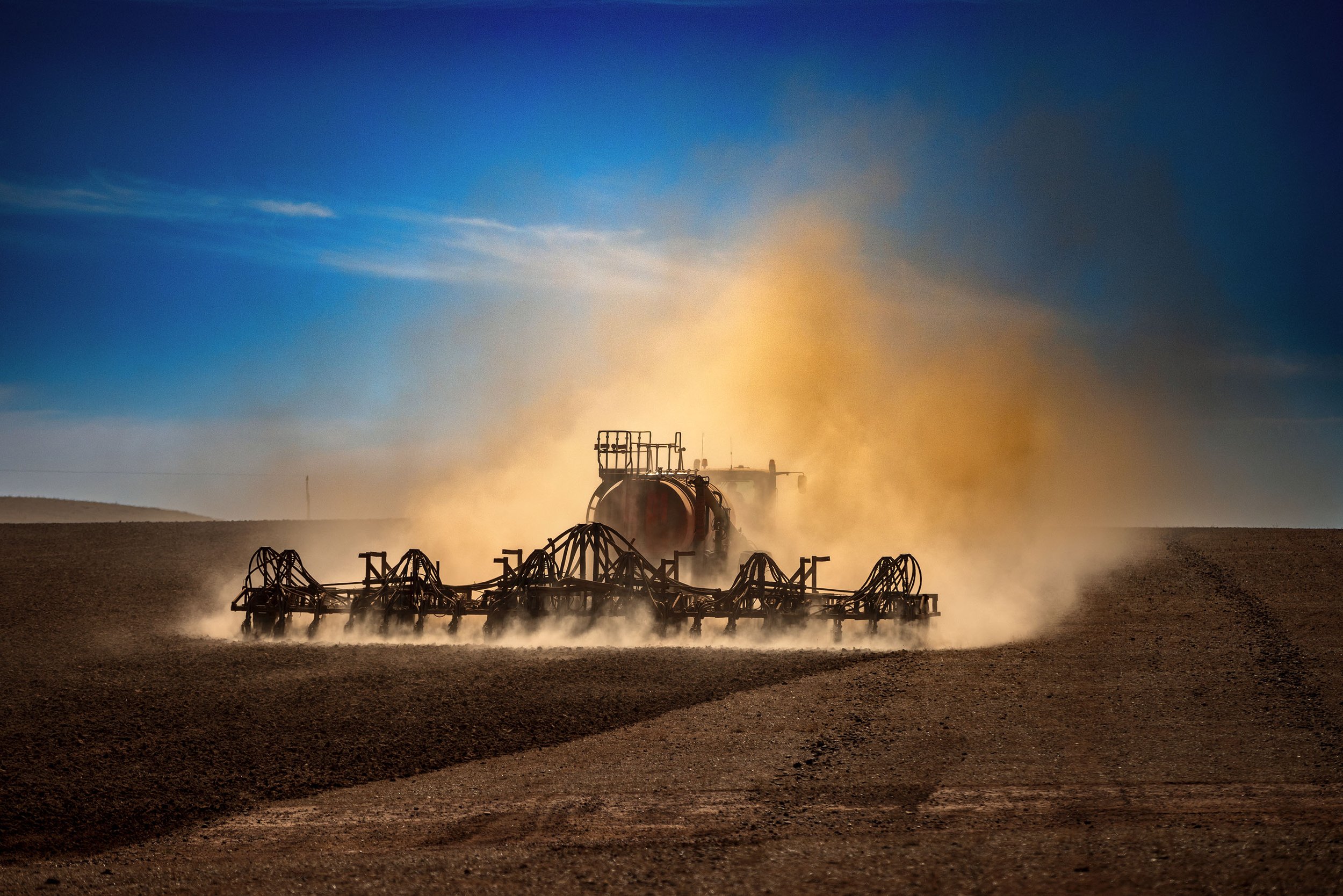 Dry Sow Turner The Australian.jpg