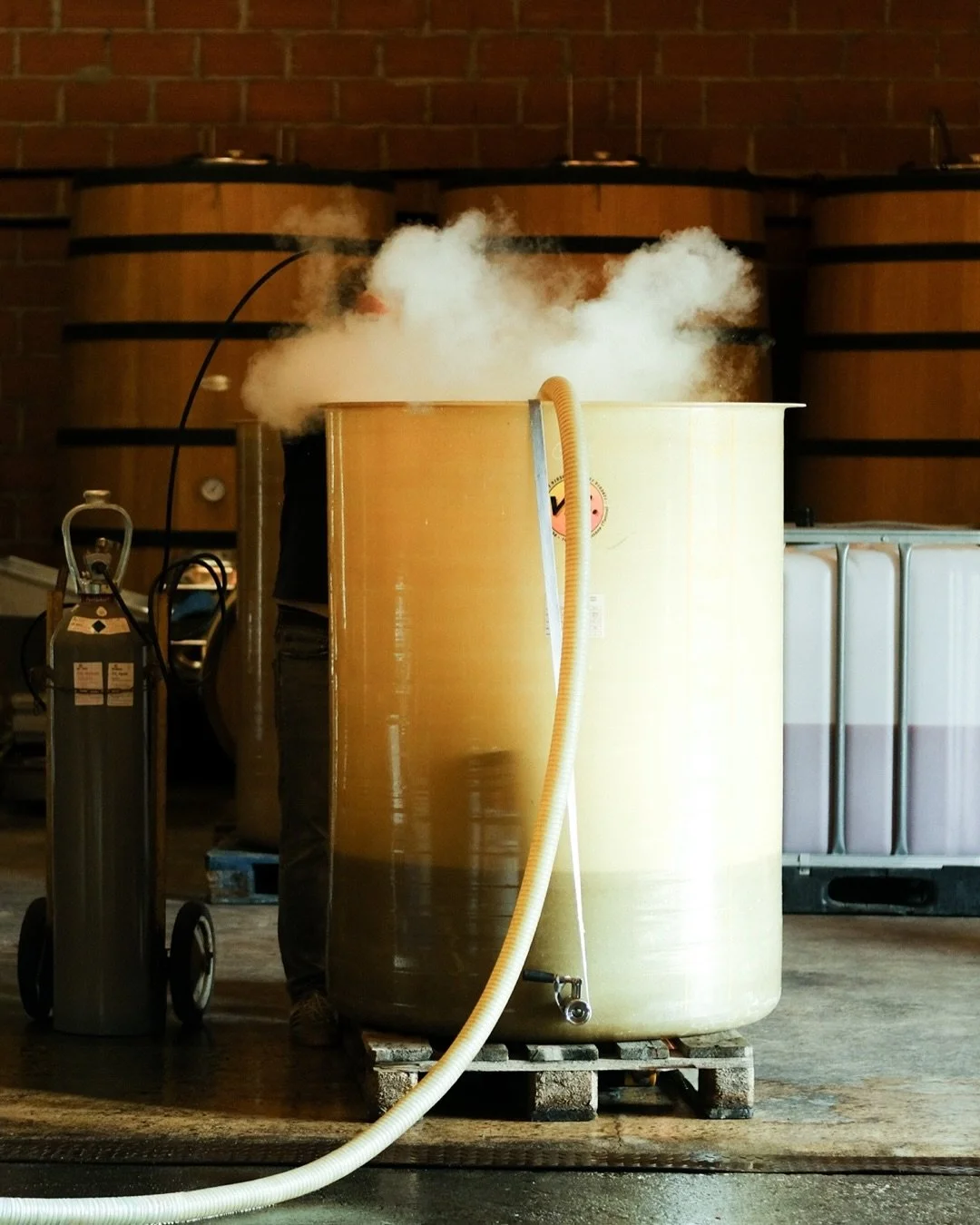 &Agrave; La Colombi&egrave;re, le temps s&rsquo;&eacute;tire entre les vignes.
Un septembre de vendanges, de transmission et de souvenirs qui donnent au vin le go&ucirc;t du lien

@lacolombiere.vins 🍇