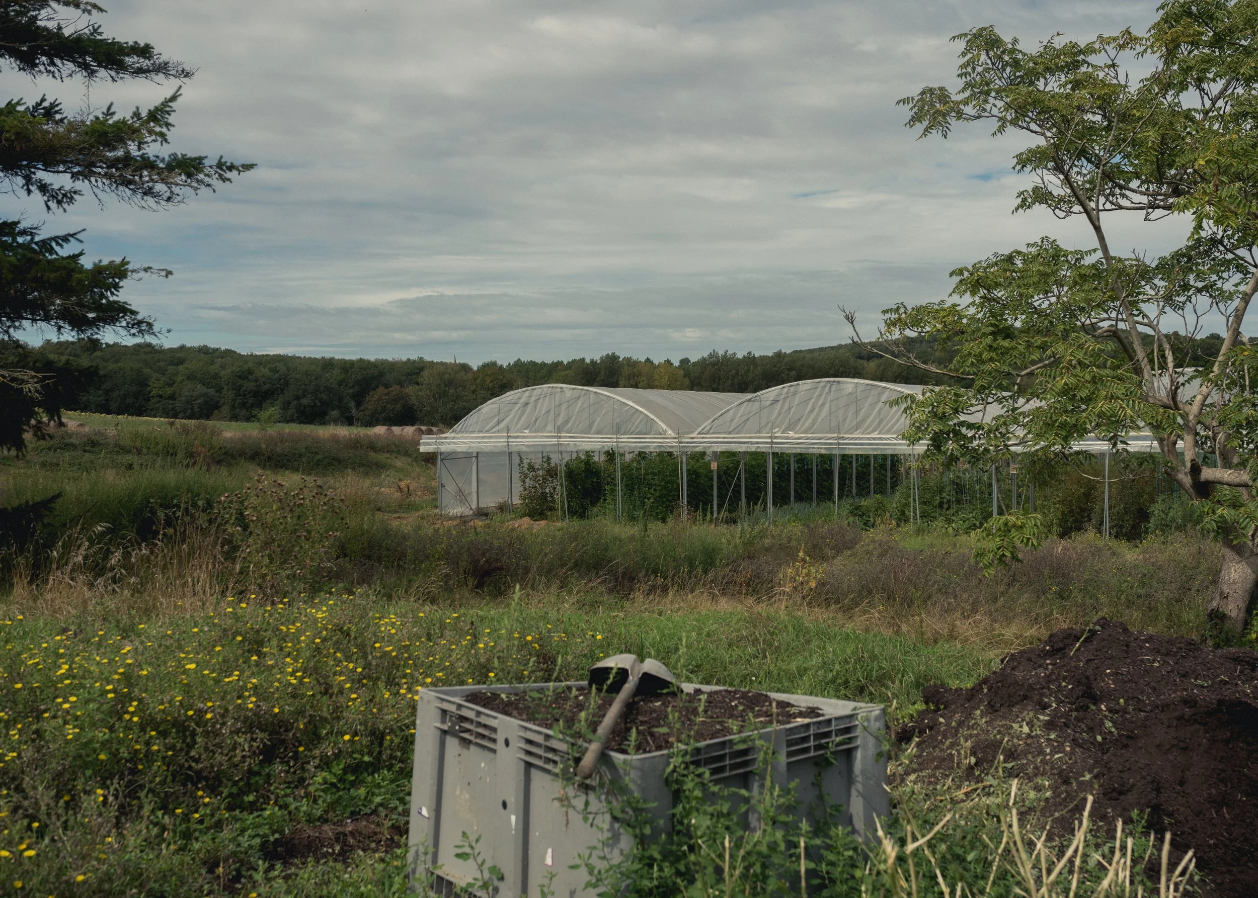 Le Pèlerin - Le village de François-21.jpg