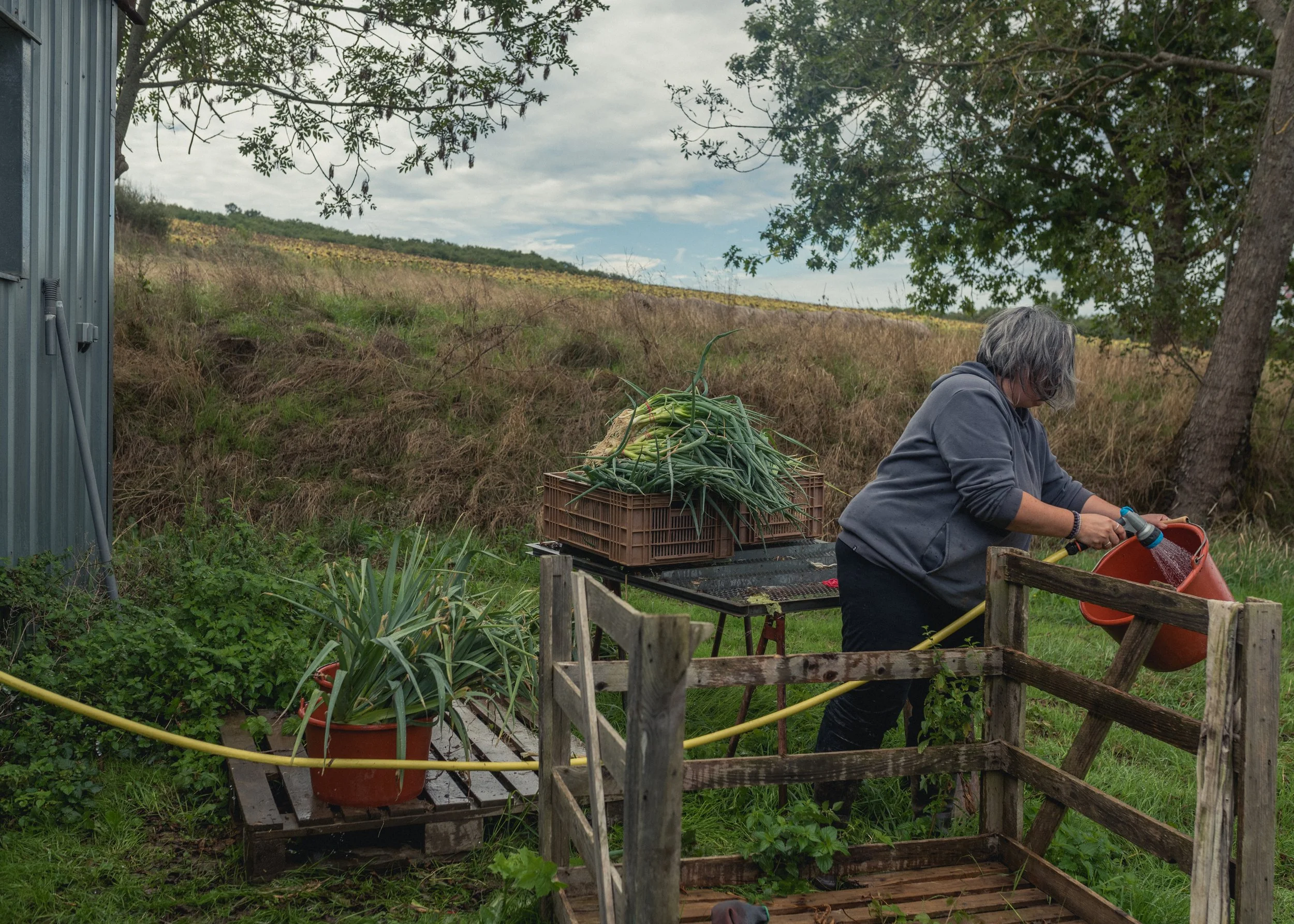 Le Pèlerin - Le village de François-24.jpg