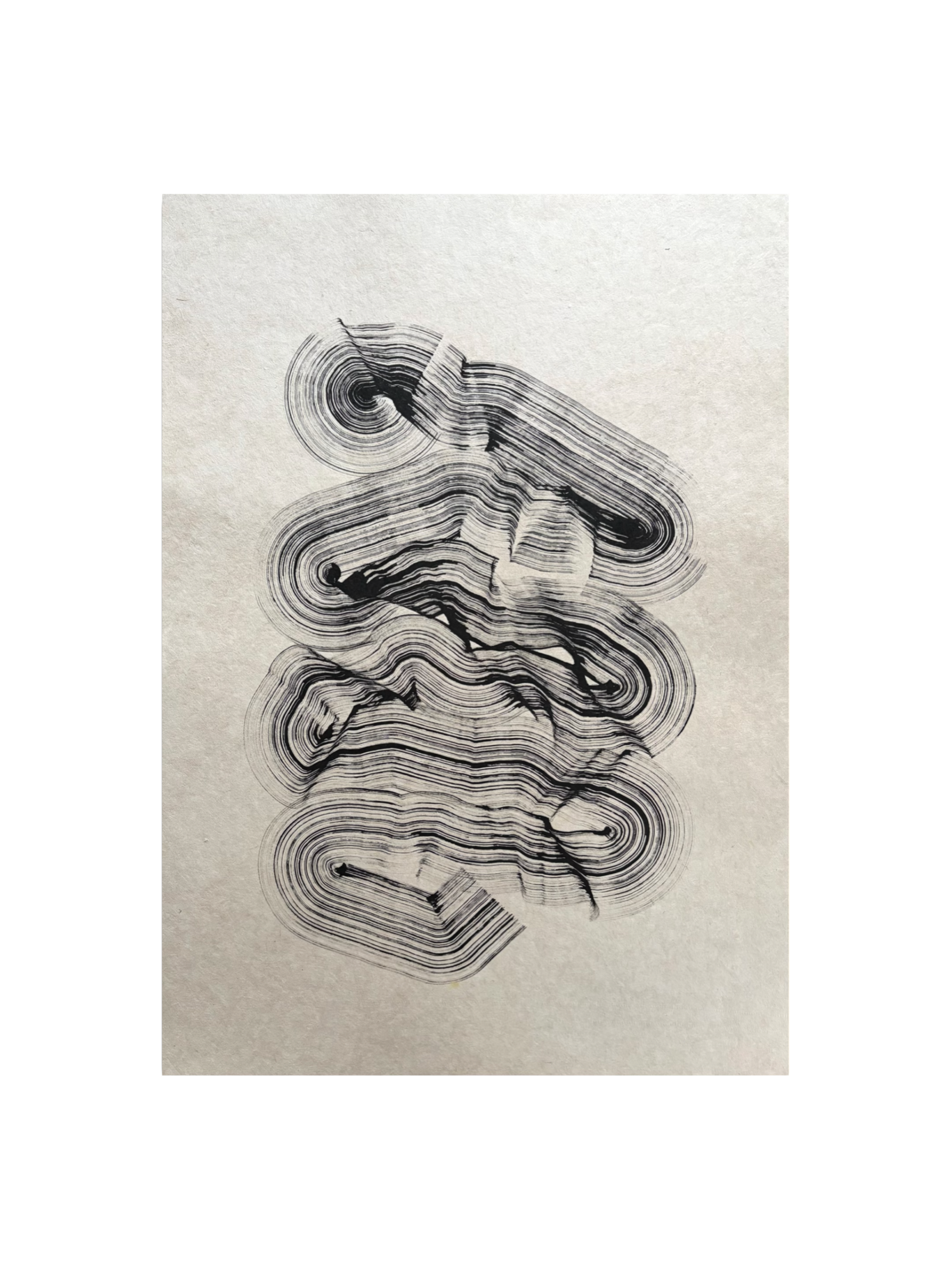 IMG_0809.PNG (Copy)