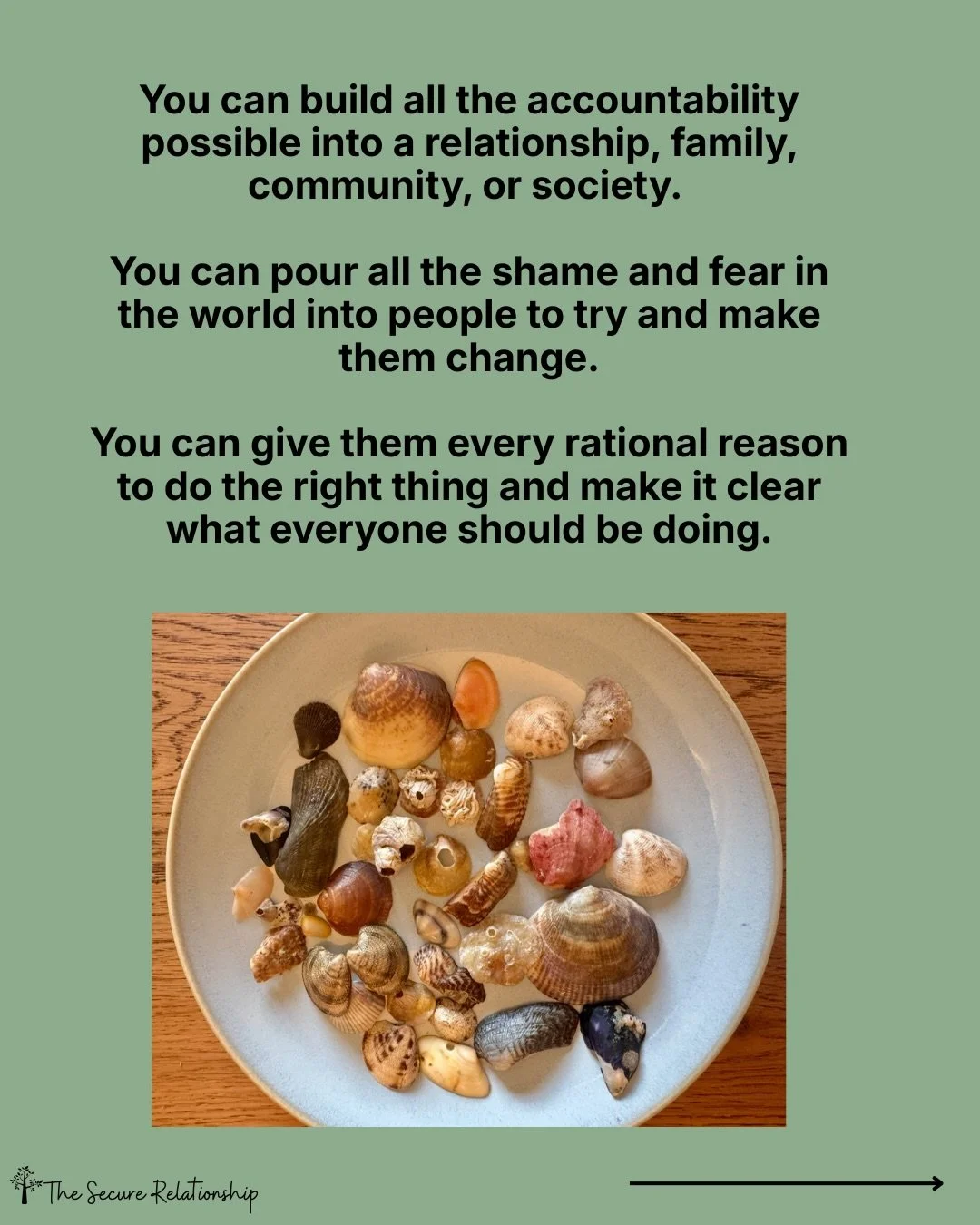 Everyone fails at empathy sometimes. Sometimes our own fears and insecurities get the best of us. But for me, this is the belief system I always return home to.
...and I hope you like my collection of seashells from the summer.❤️