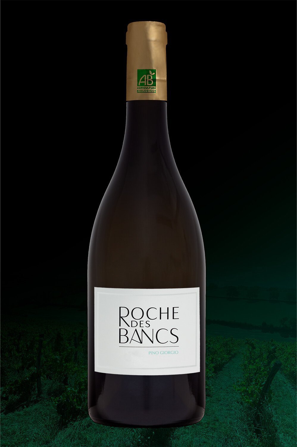 Coffret - Nos vins sélectionnés par La Revue du Vin de France — Roche Des  Bancs