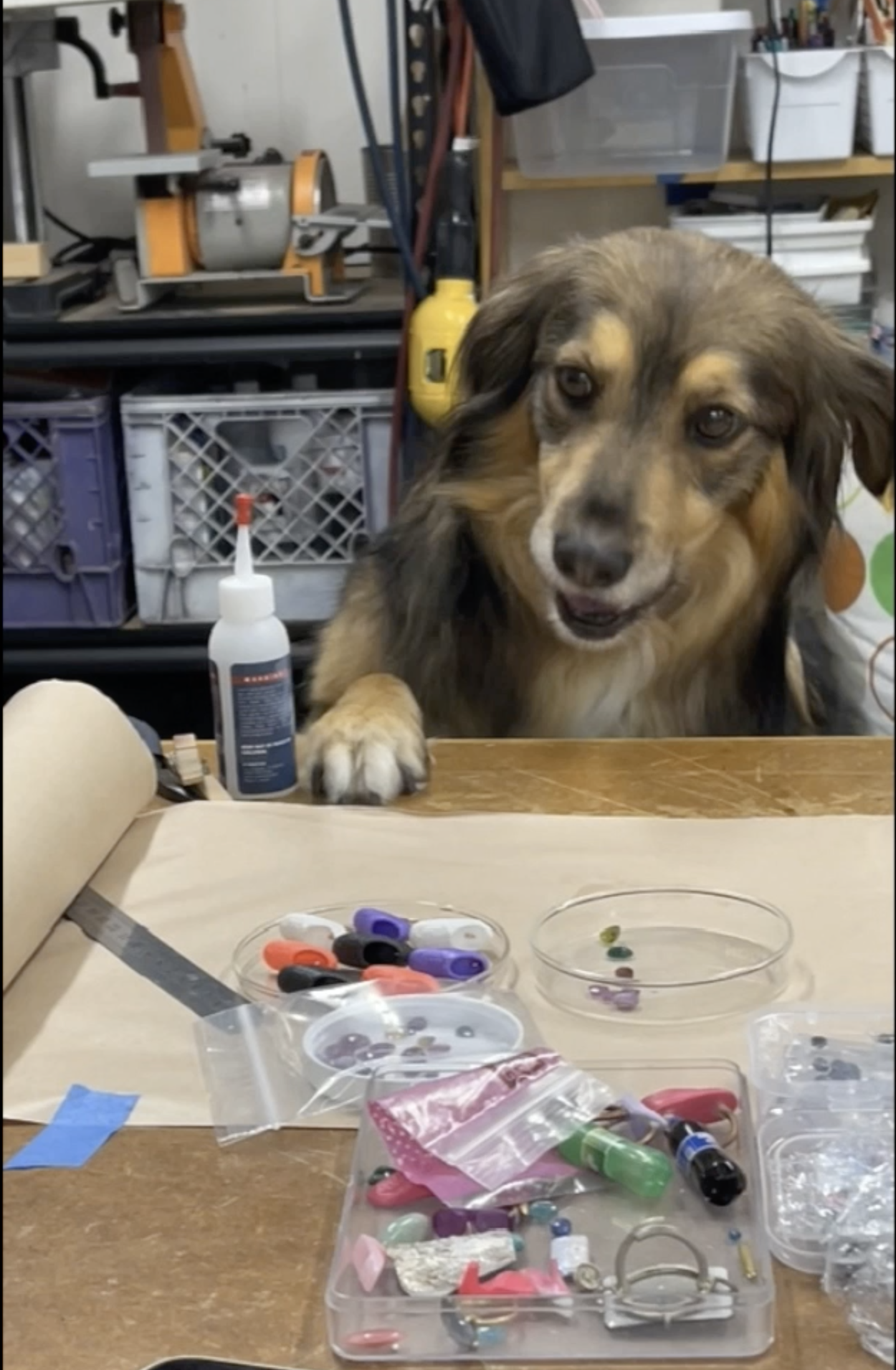 Screen Shot 2022-08-02 at 2.38.22 PM.png