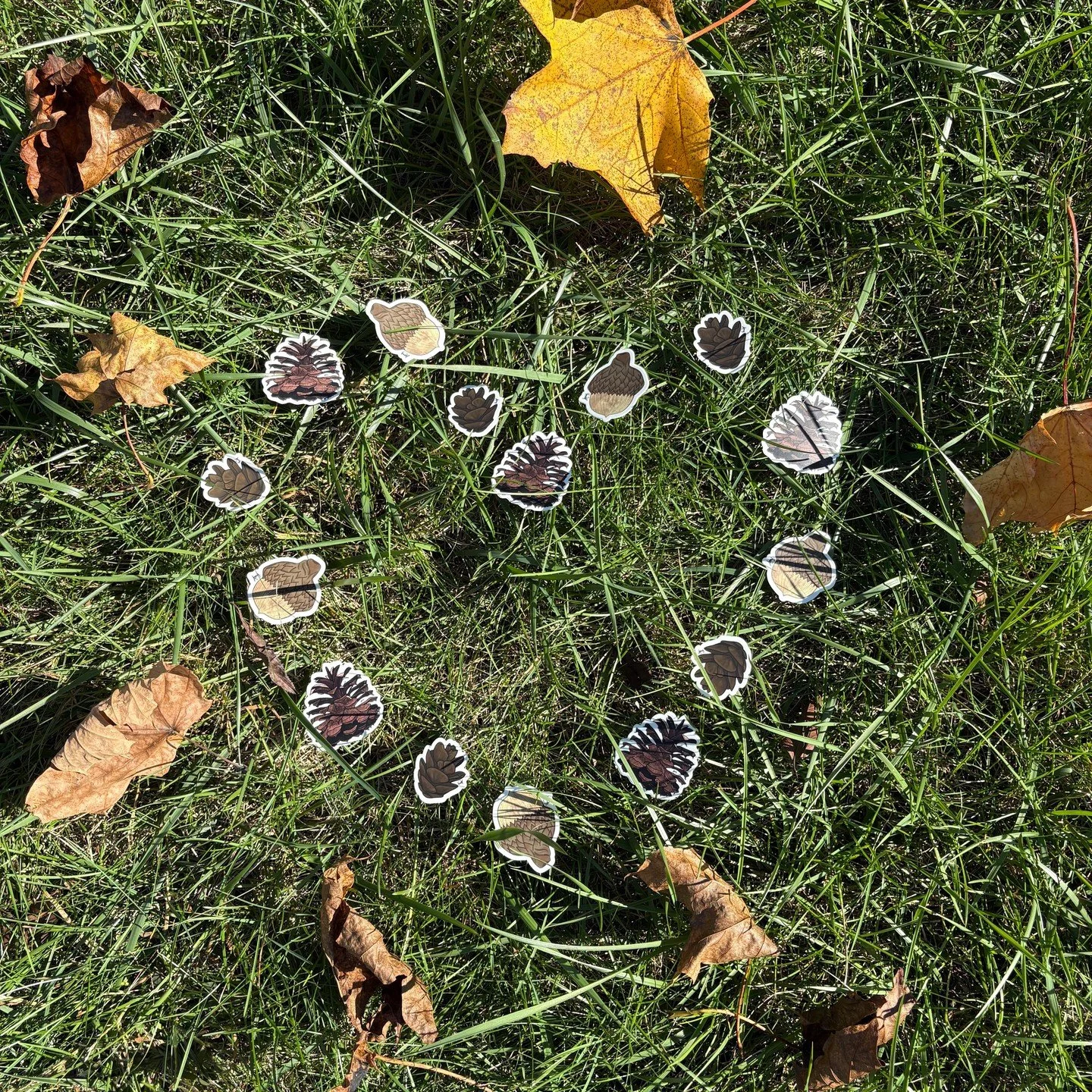 🌰🌲✨ For the wanderers and trail-seekers&hellip;
These little acorn &amp; pinecone stickers feel like tiny souvenirs from the forest&mdash;
badges of curiosity, courage, and all the trails waiting to be explored. 🥾🍂

Perfect for water bottles, jou