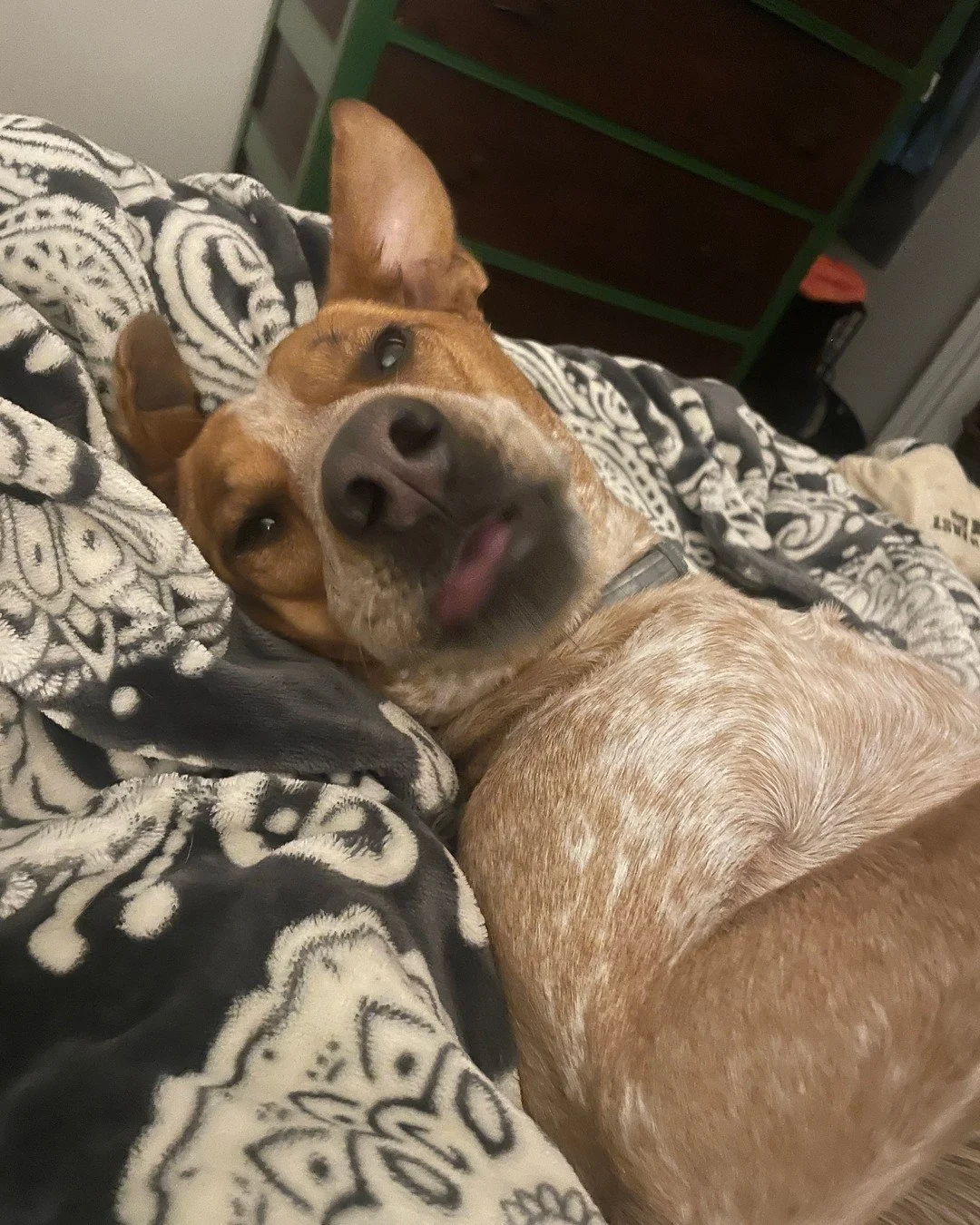 When the Turkey hits too hard...

Happy Thanksgiving!