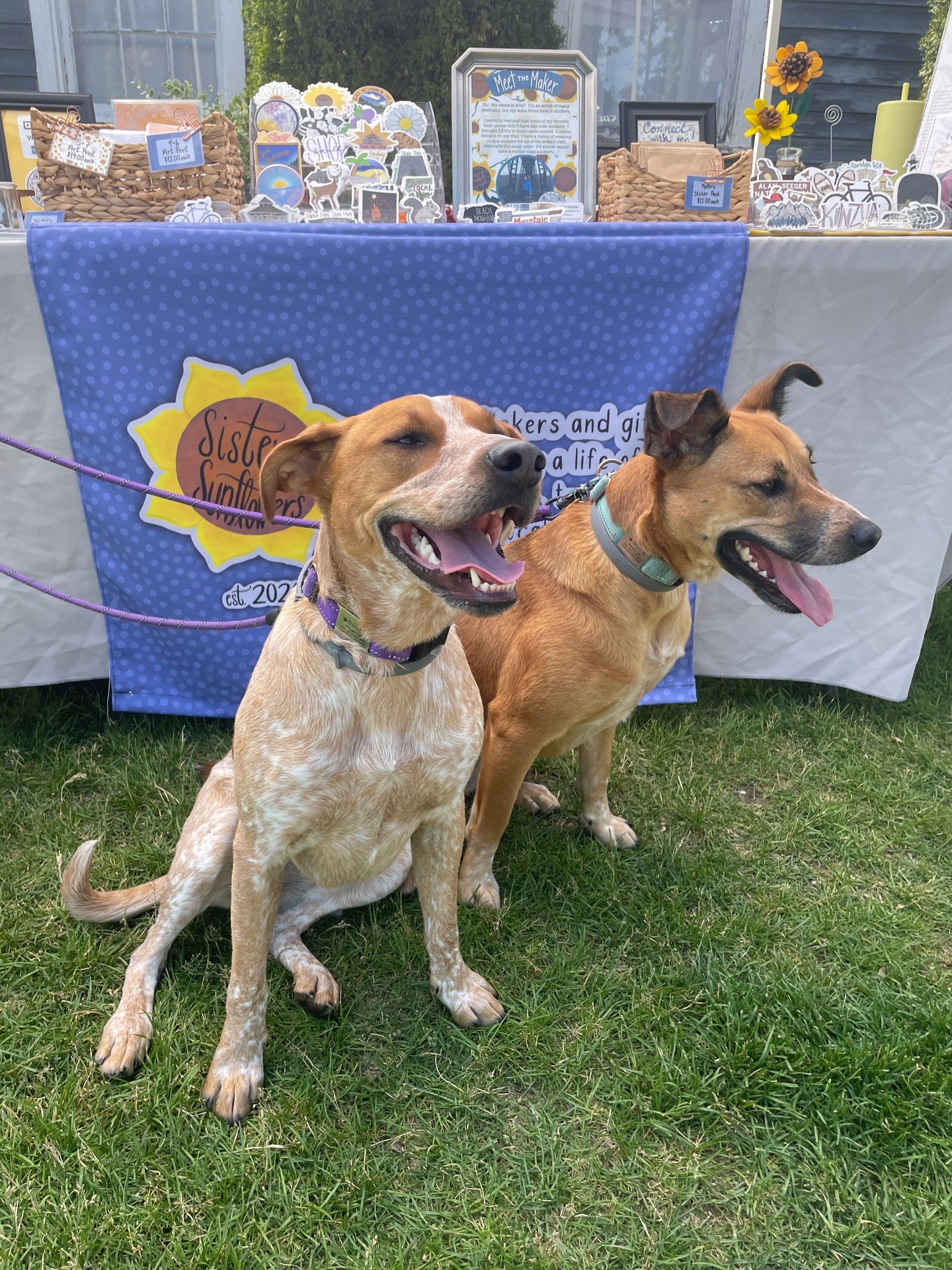 Long time, no post!! But this one is important!! Come find our booth at the Happy Valley Ironman!!

@ironmantri
IRONMAN VILLAGE DATES &amp; TIMES:
🗓️ Friday, June 12th, 2026 from 2:00PM &ndash; 7:00PM ​
🗓️ Saturday, June 13th, 2026 from 9:00AM &nda