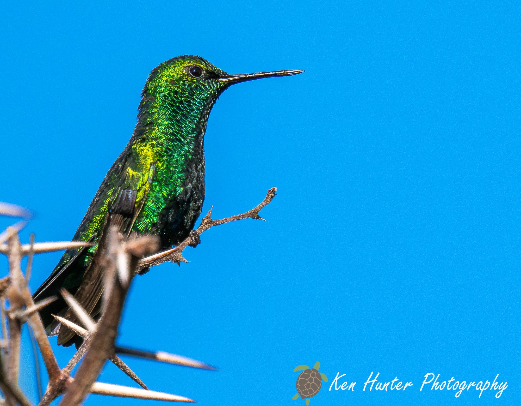 Moment of Stillness.jpg