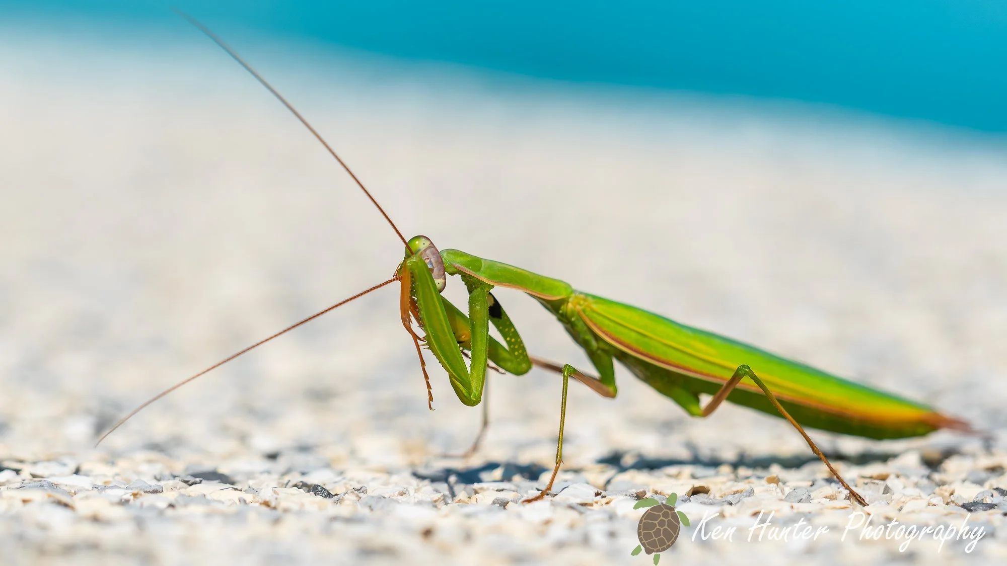 Posing for the shot.jpg