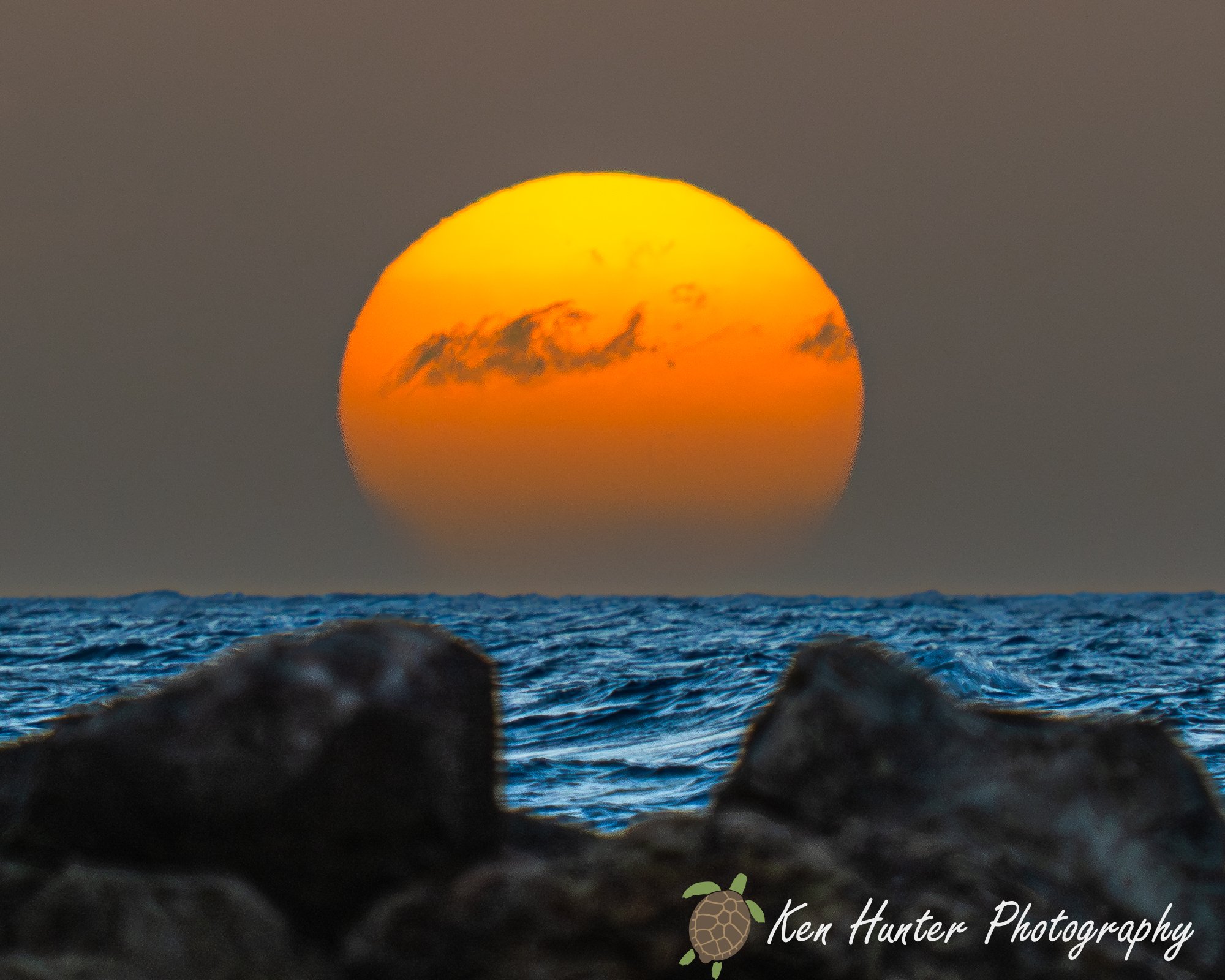 Sunset perched on a rock.jpg