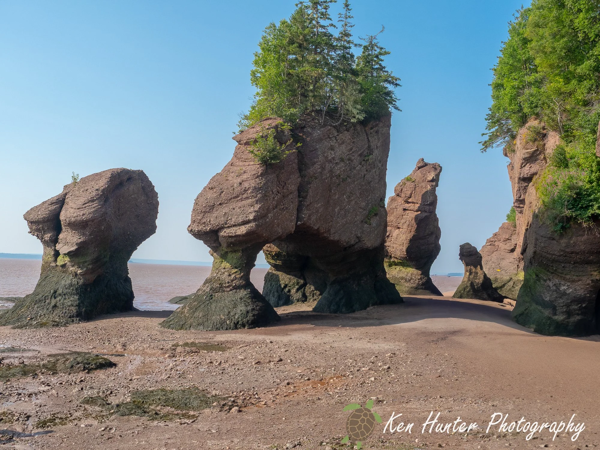 Hopewell Rocks.jpg
