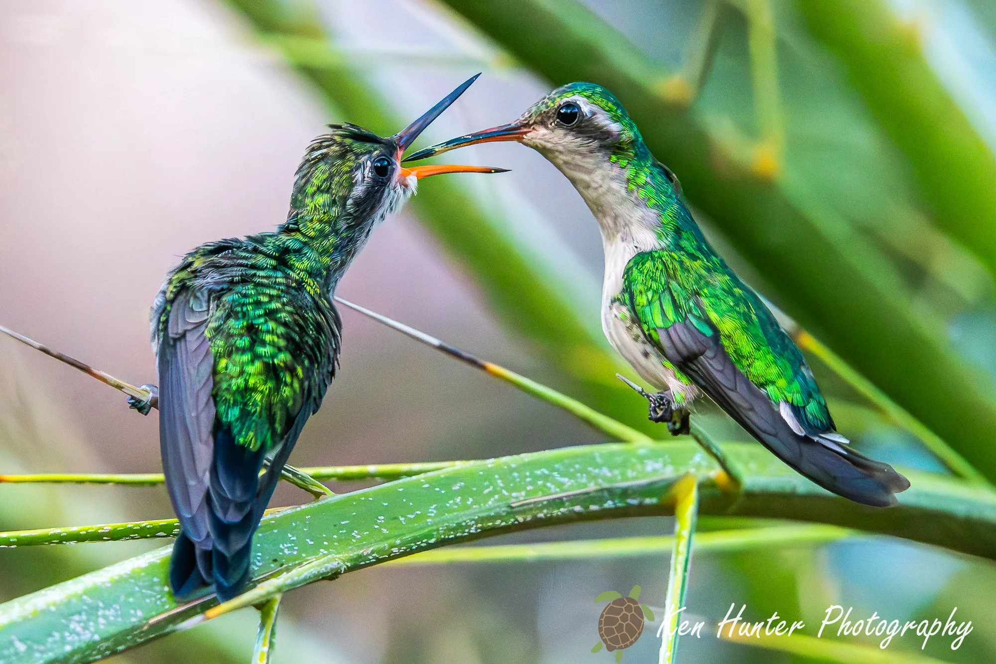 A Tiny Refueling Station.jpg