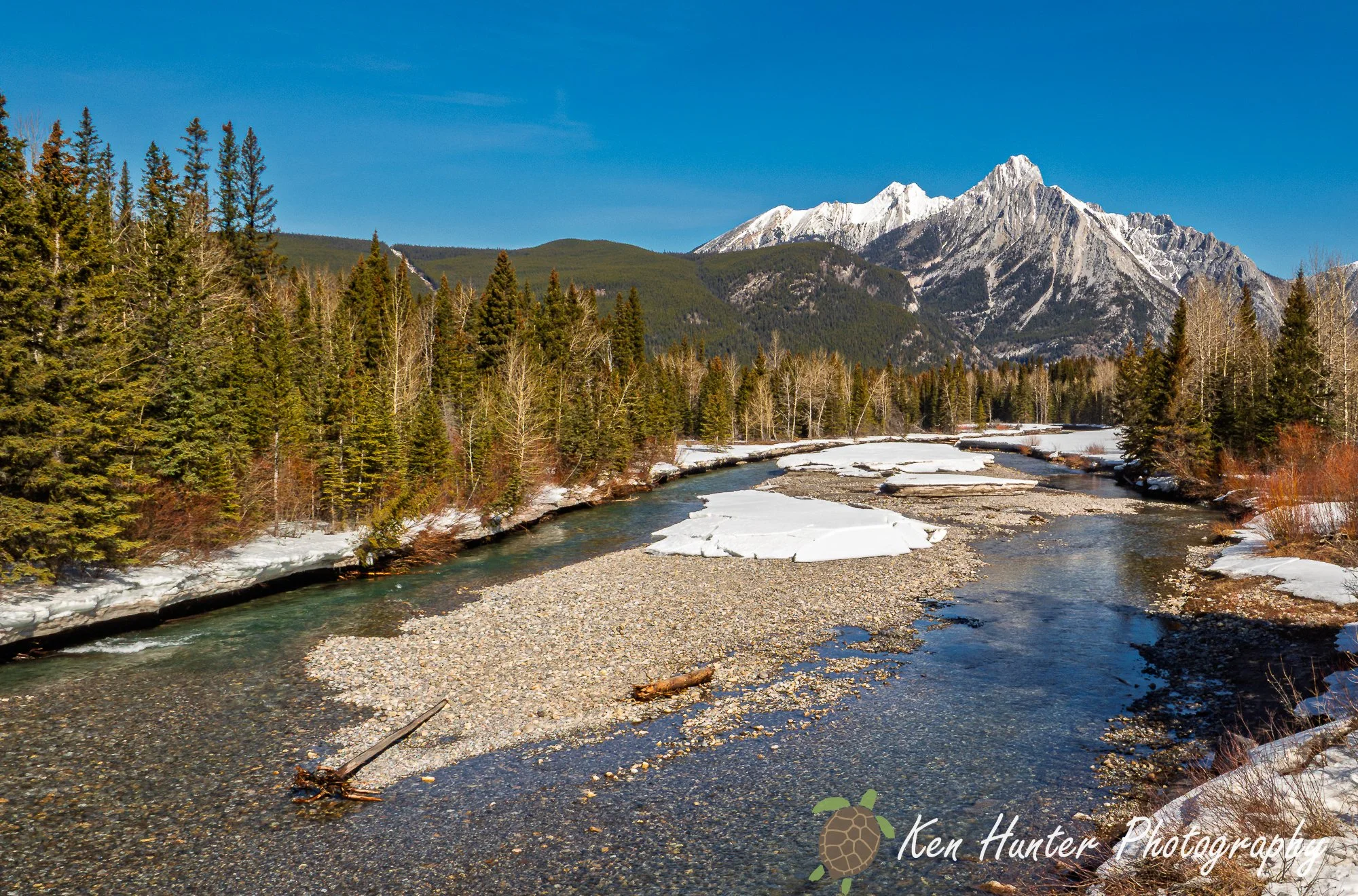 Bow Valley - 2019-04-Calgary-019.jpg