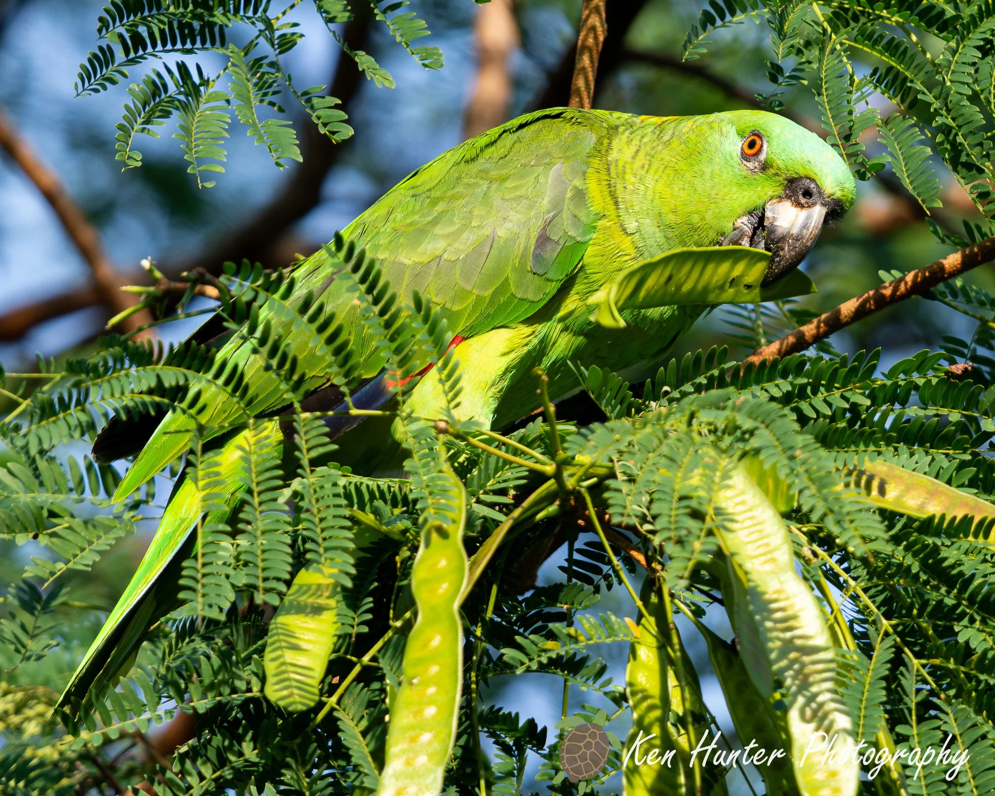 Feasting with Flair.jpg