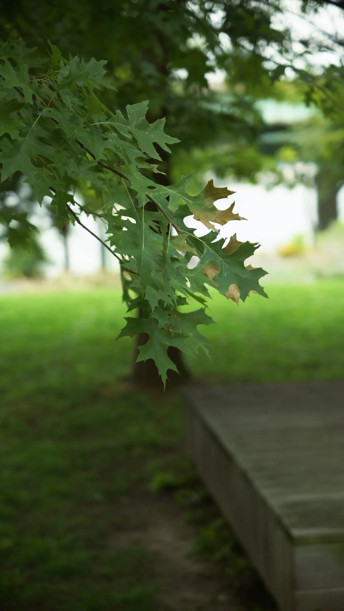 EB2DBAD6-E1EC-4031-8E73-66EA0ED27C61.JPG