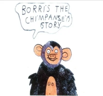 Borris the Chimpanze's Story by Erin - Art of the Book Award winner 2024