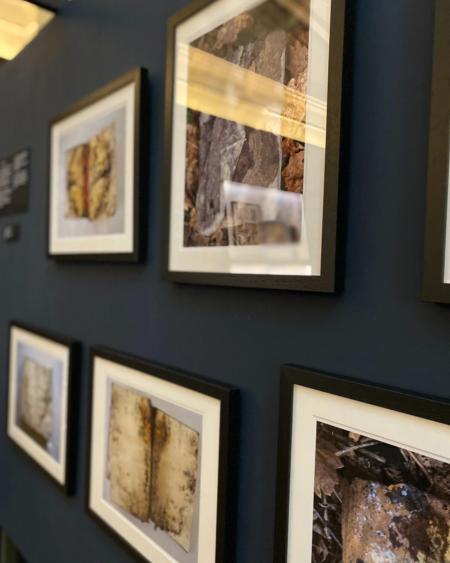 On Sunday 14th February, we'll be hosting a BSL tour of Stephen Emmerson's exhibition, How to Read a Book, led by deaf guide Jennifer Little, who will be shadowed by Hope, her mentee.

The tour is free, and you're welcome to just turn up on the day. 