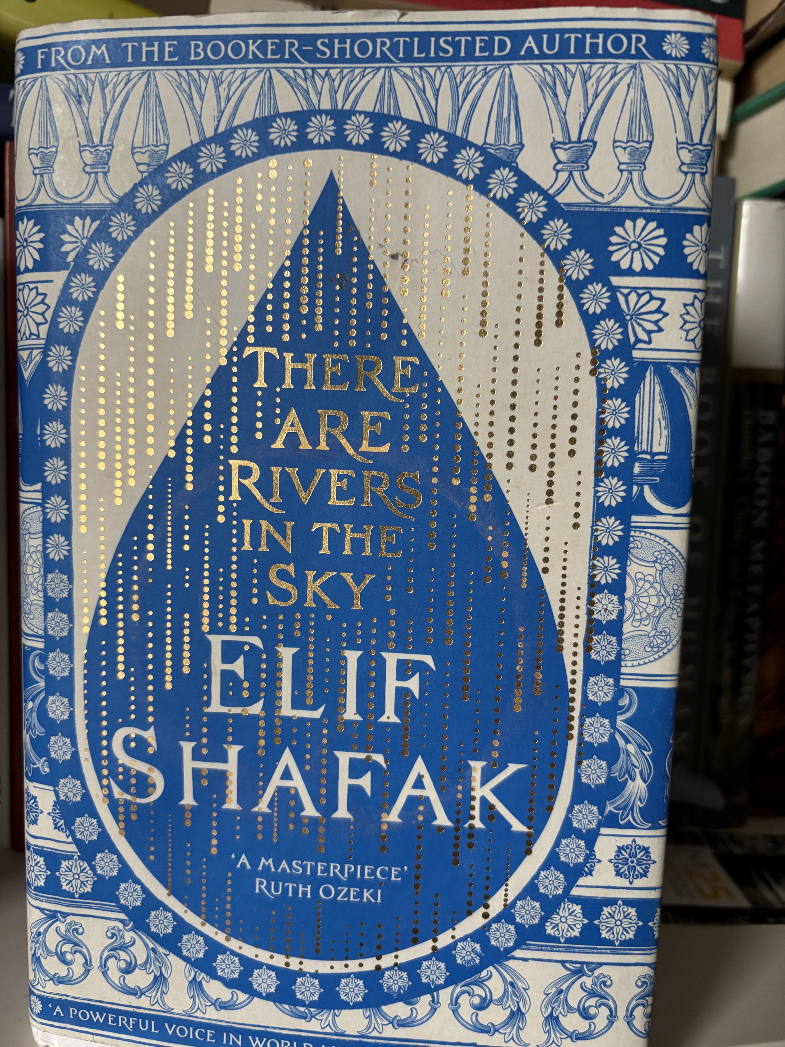 Slow Reading: Elif Shafak's There are Rivers in the Sky 