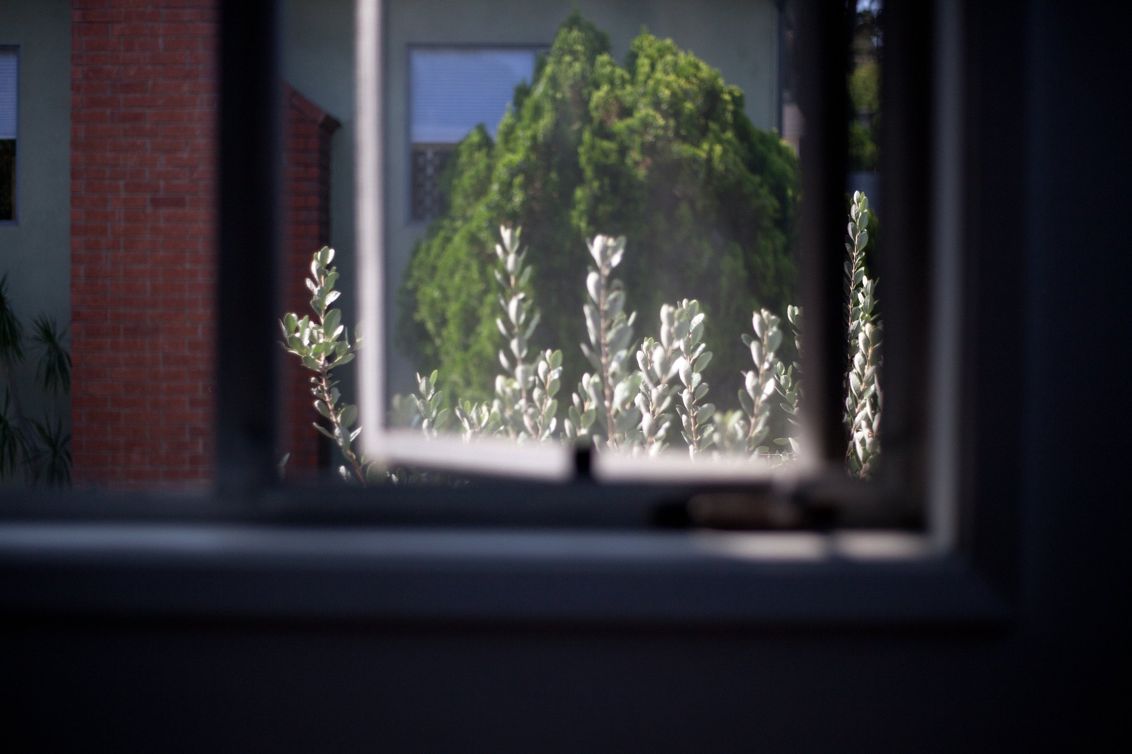 _MG_0020.jpg
