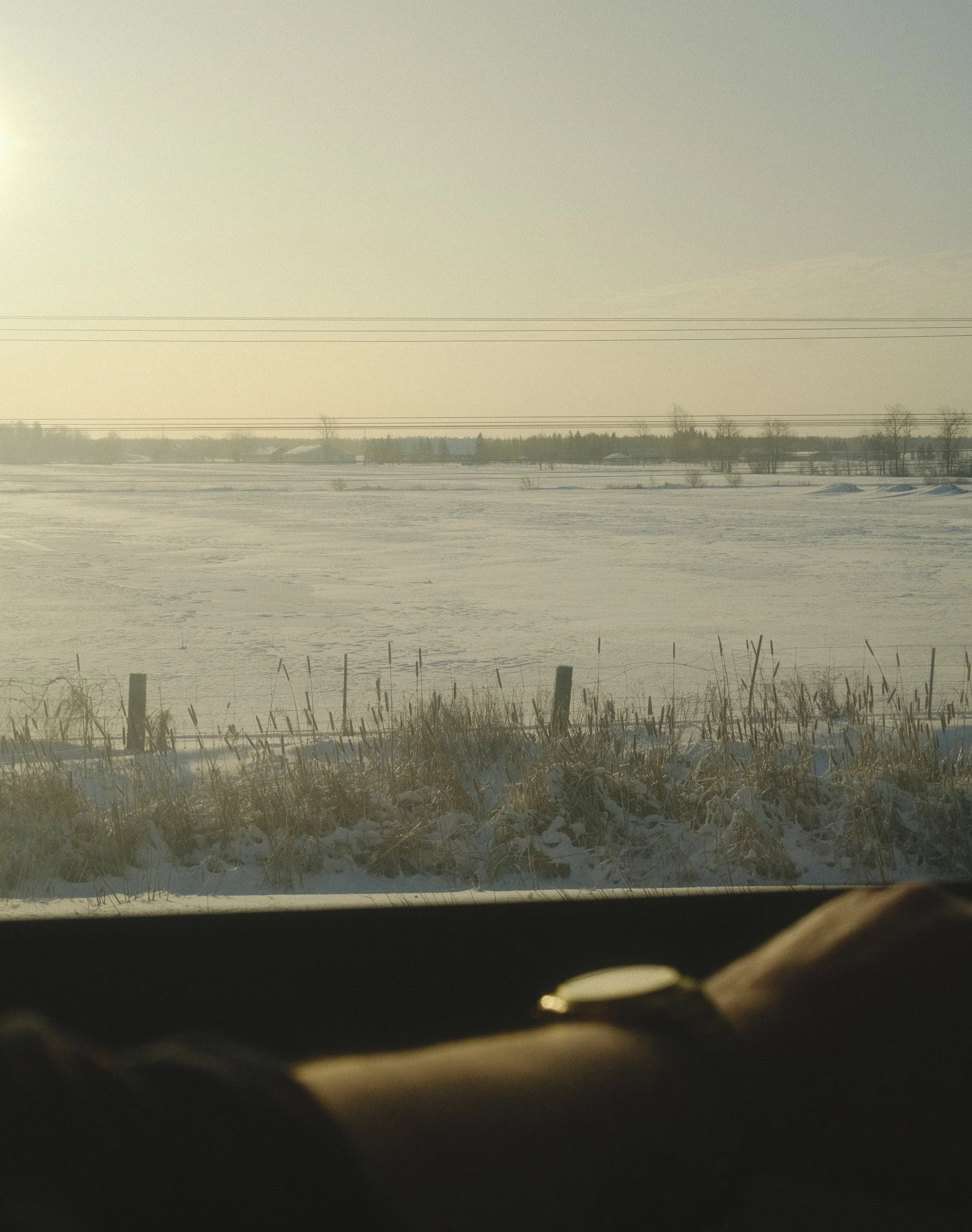 ABD22D81-2B71-429C-A654-F1E8647FB5D9-2942-000001BF542B120D.jpg