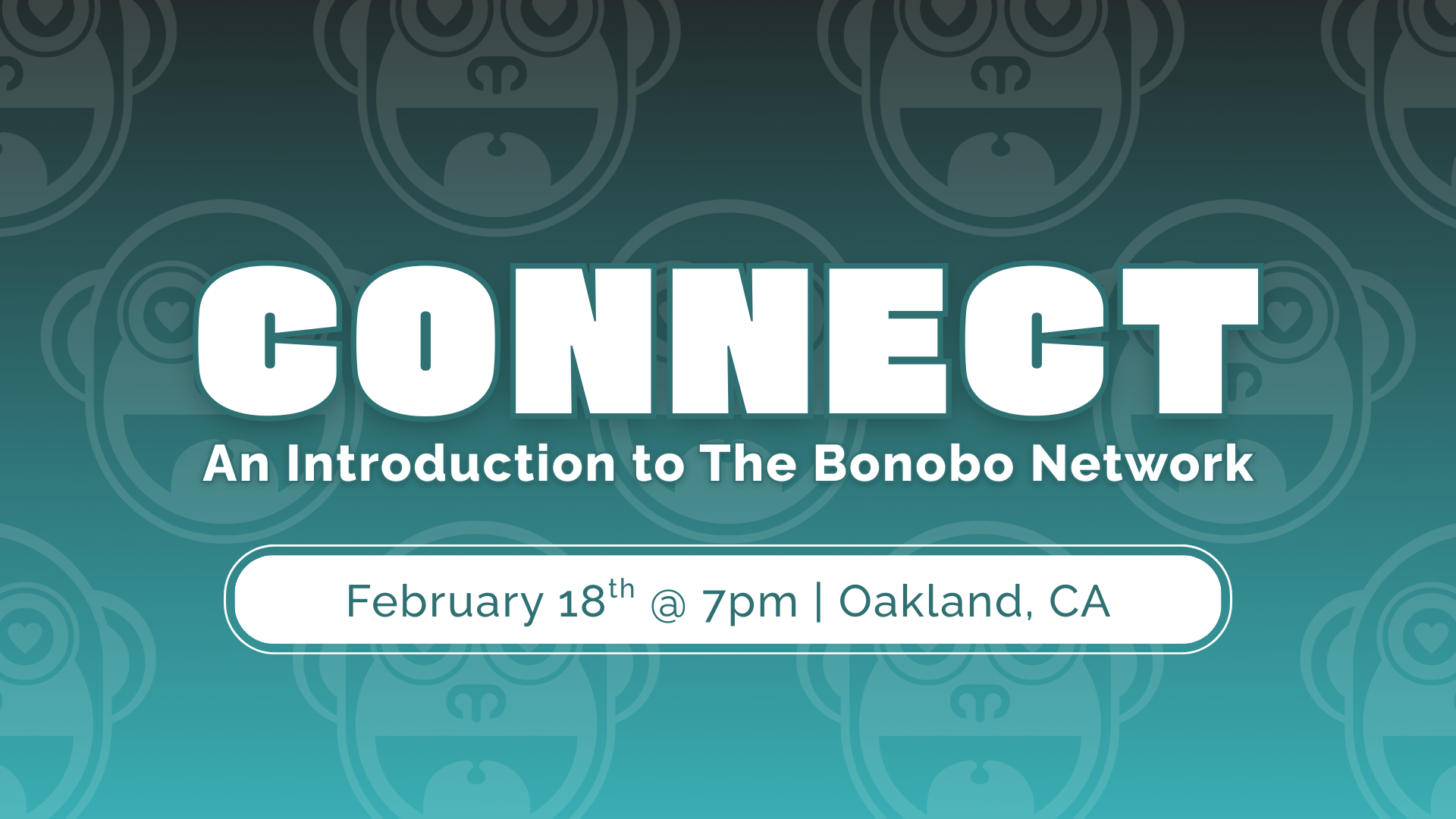 Connect! An Introduction To Bonobo Network