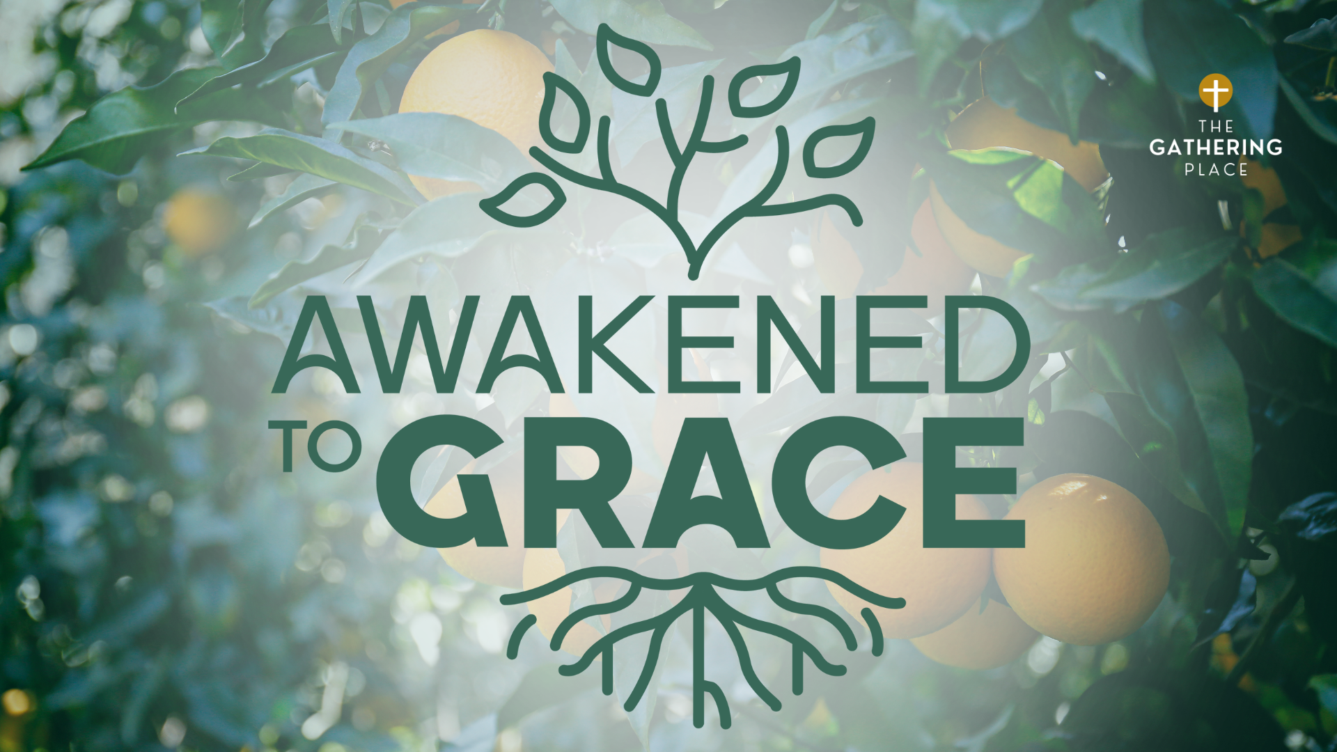 Awakened to Grace
